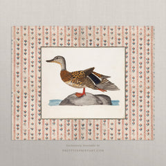 Vintage Duck Art Print – Antique Patterned Border, Farmhouse & Cottagecore Kitchen Wall Decor, Unframed (002)