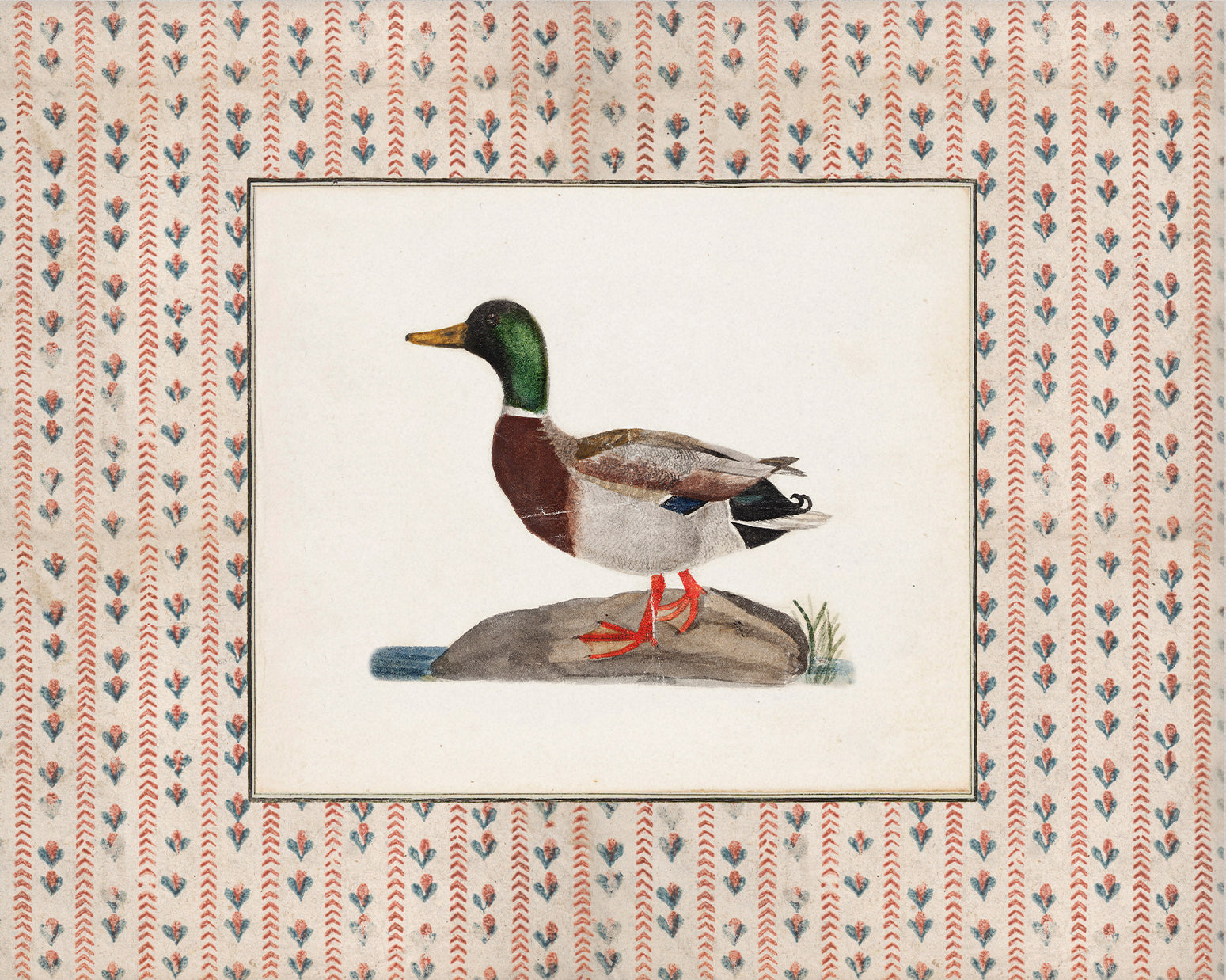 Vintage Duck Art 006 |  Unframed