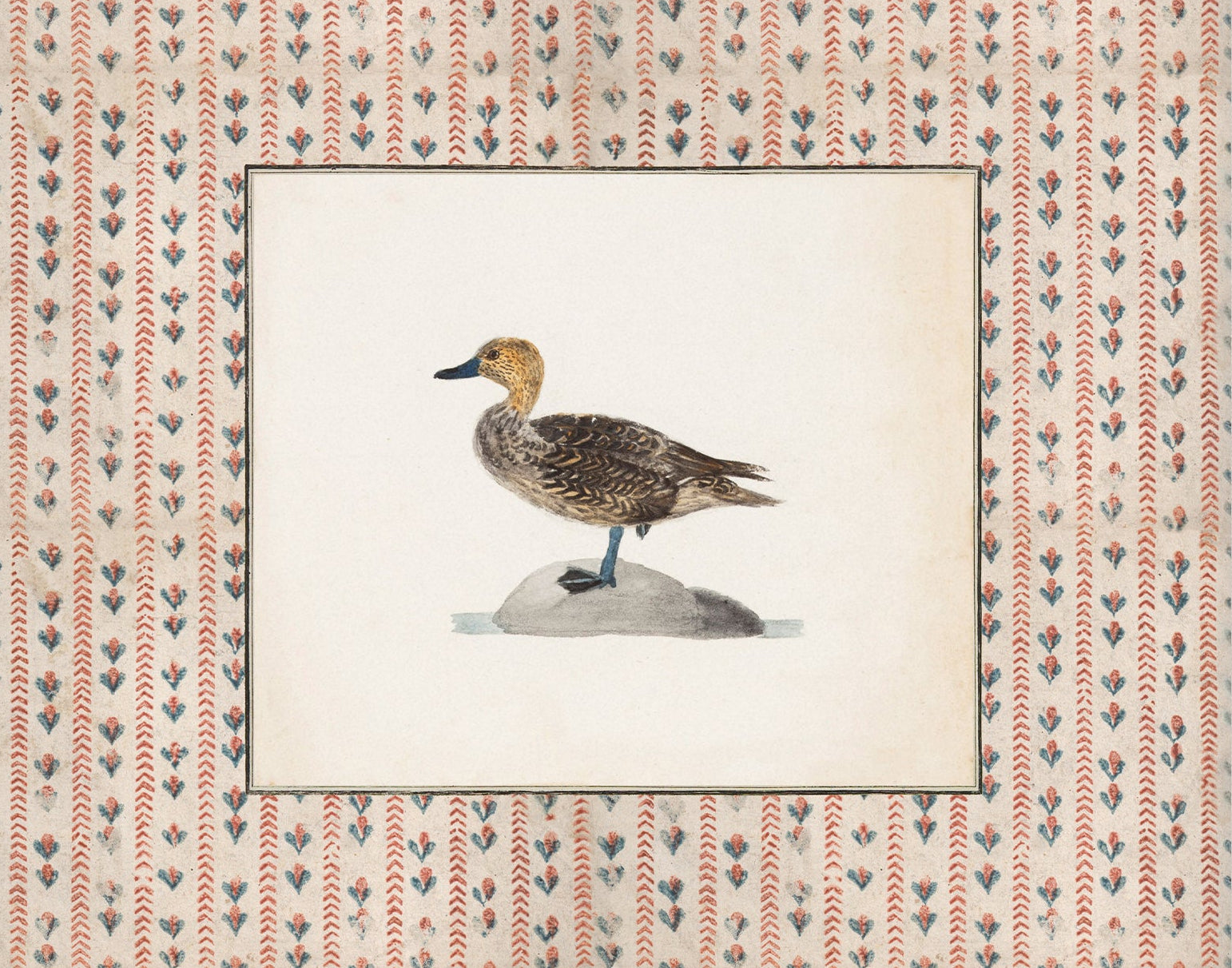 Vintage Duck Art 009 |  Unframed