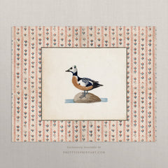 Vintage Duck Art Print – Antique Patterned Border, Farmhouse & Cottagecore Kitchen Wall Decor, Unframed (010)