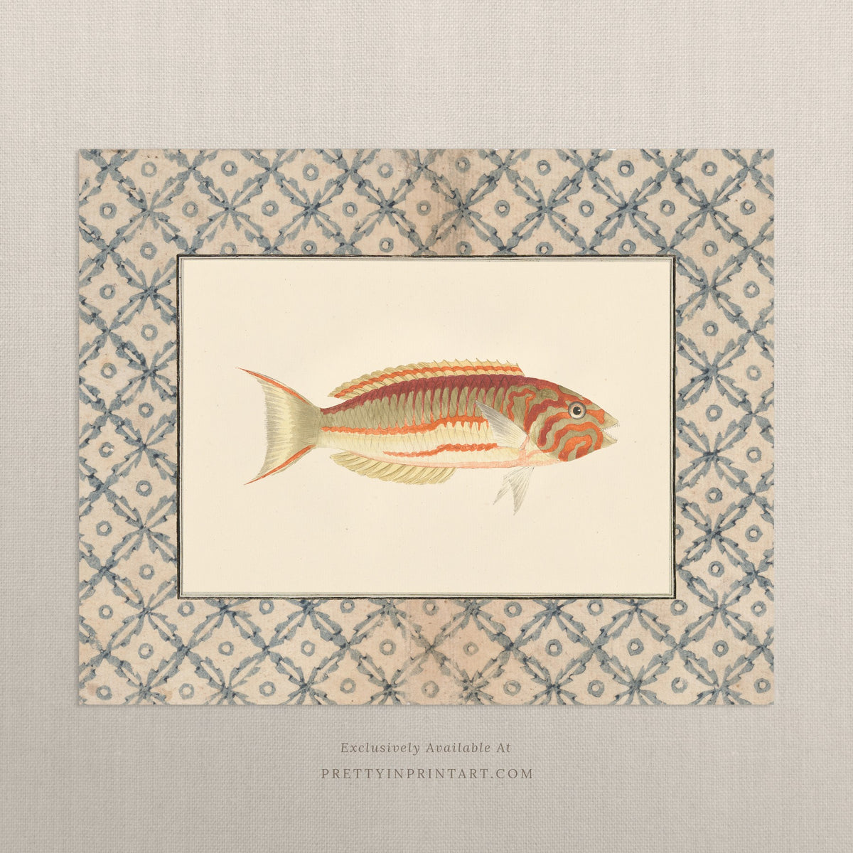 Vintage orange-striped fish art print with a blue lattice border, unframed