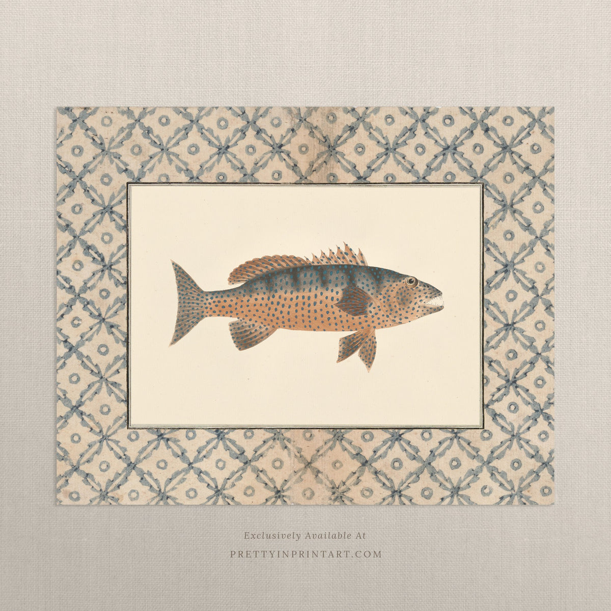 Vintage spotted amber and slate fish art print with a blue lattice border, unframed