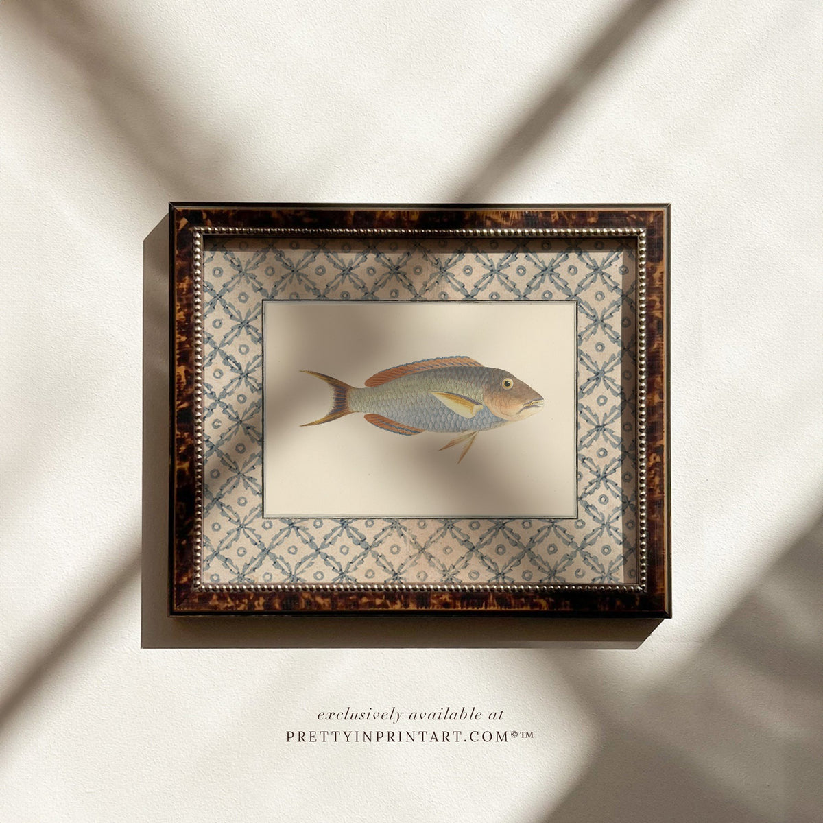 Vintage pale blue and gold fish art print with a blue lattice border in a tortoiseshell-style wooden frame, ideal for a coastal bathroom or cottage kitchen