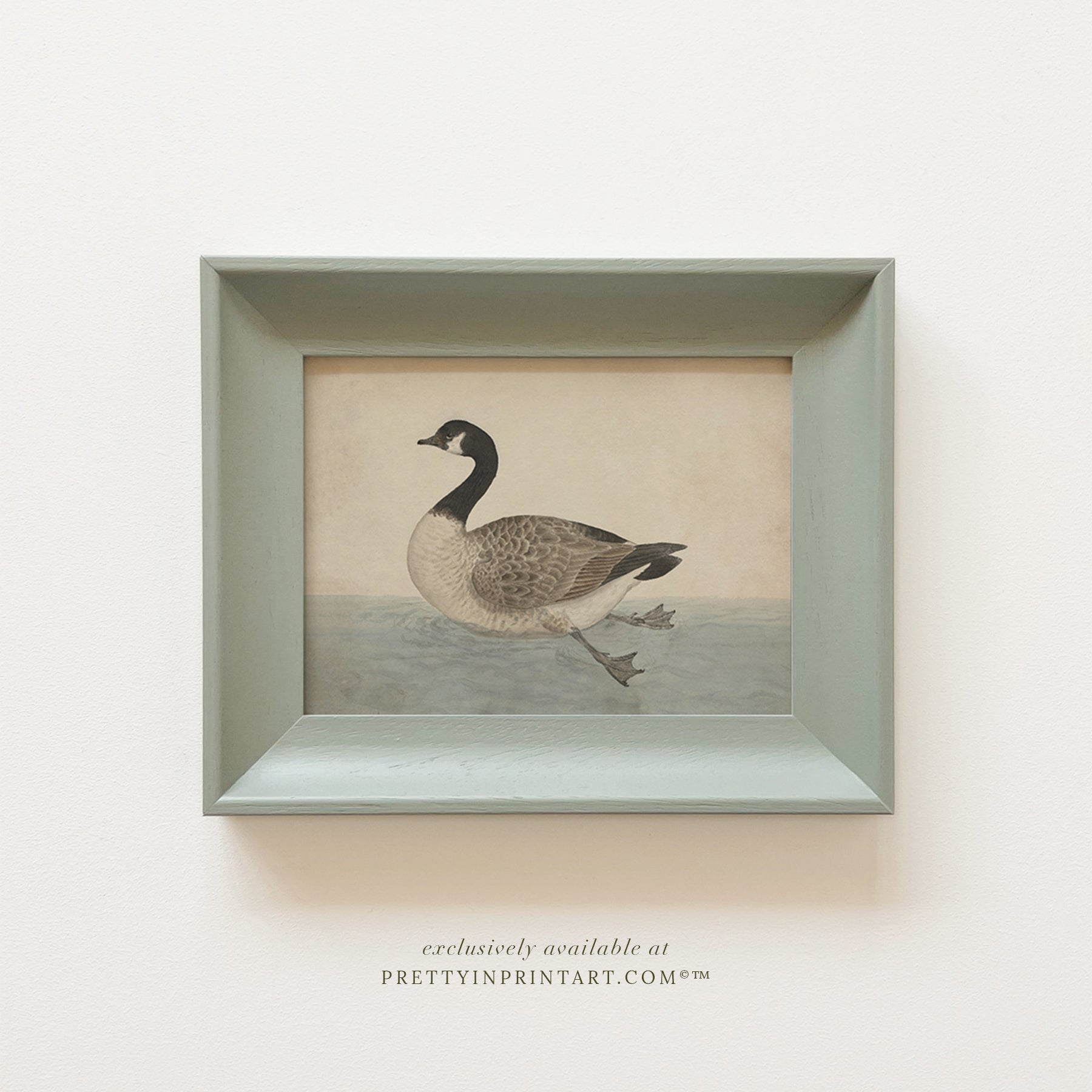 Vintage-style art prints featuring ducks, geese, swans, framed in classic gold or wood frames, perfect for traditional or country-themed vintage nursery, or any room in the home.