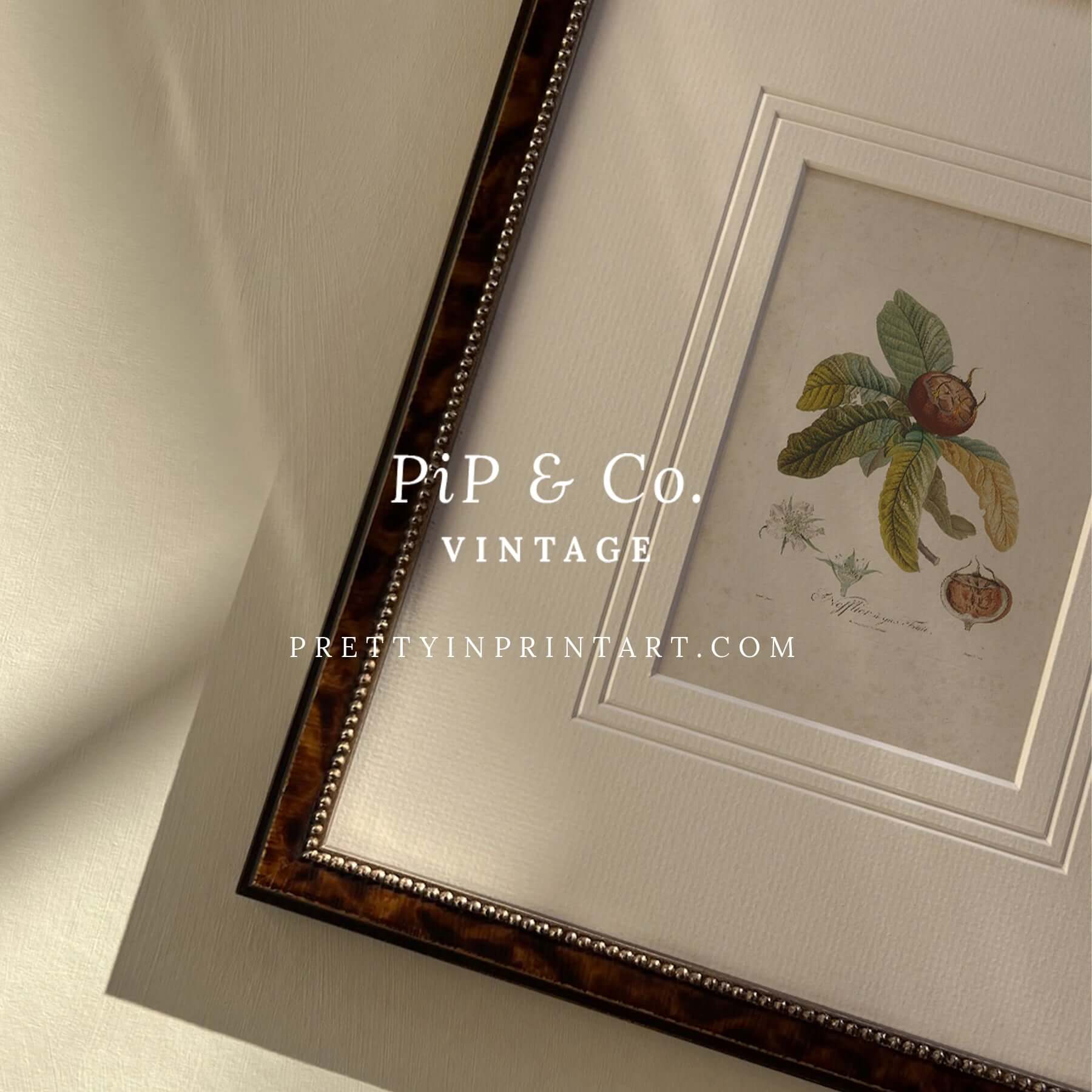 Framed vintage still life art print featuring botanical elements and elegant tortoise frame detail.