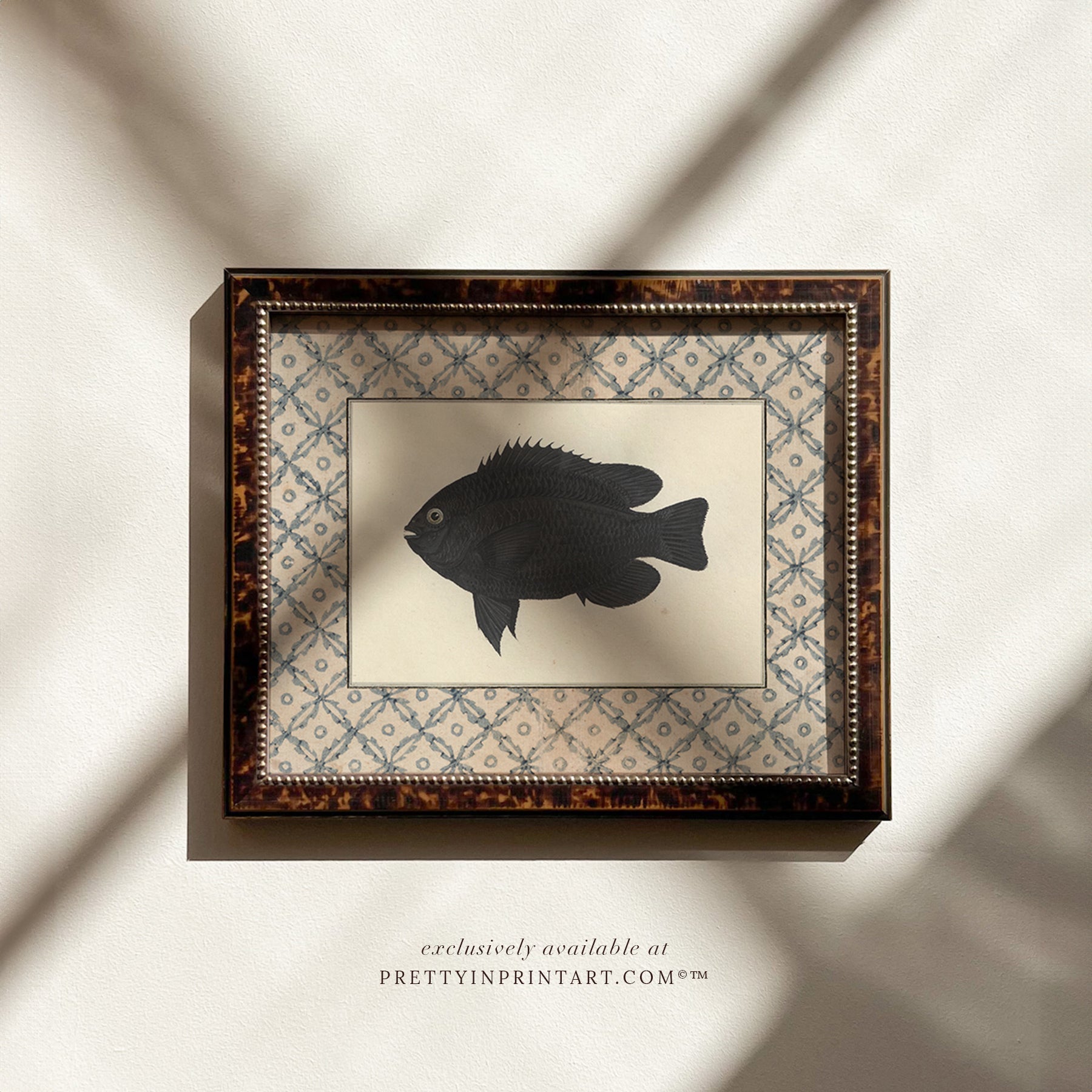 Vintage fish art, Antique fish prints, Vintage fish wall art, Fish illustration print, Vintage fish wall art prints for home decor, Antique fish illustrations for coastal decor, Rustic vintage fish prints for lake house, Framed fish art for nautical theme