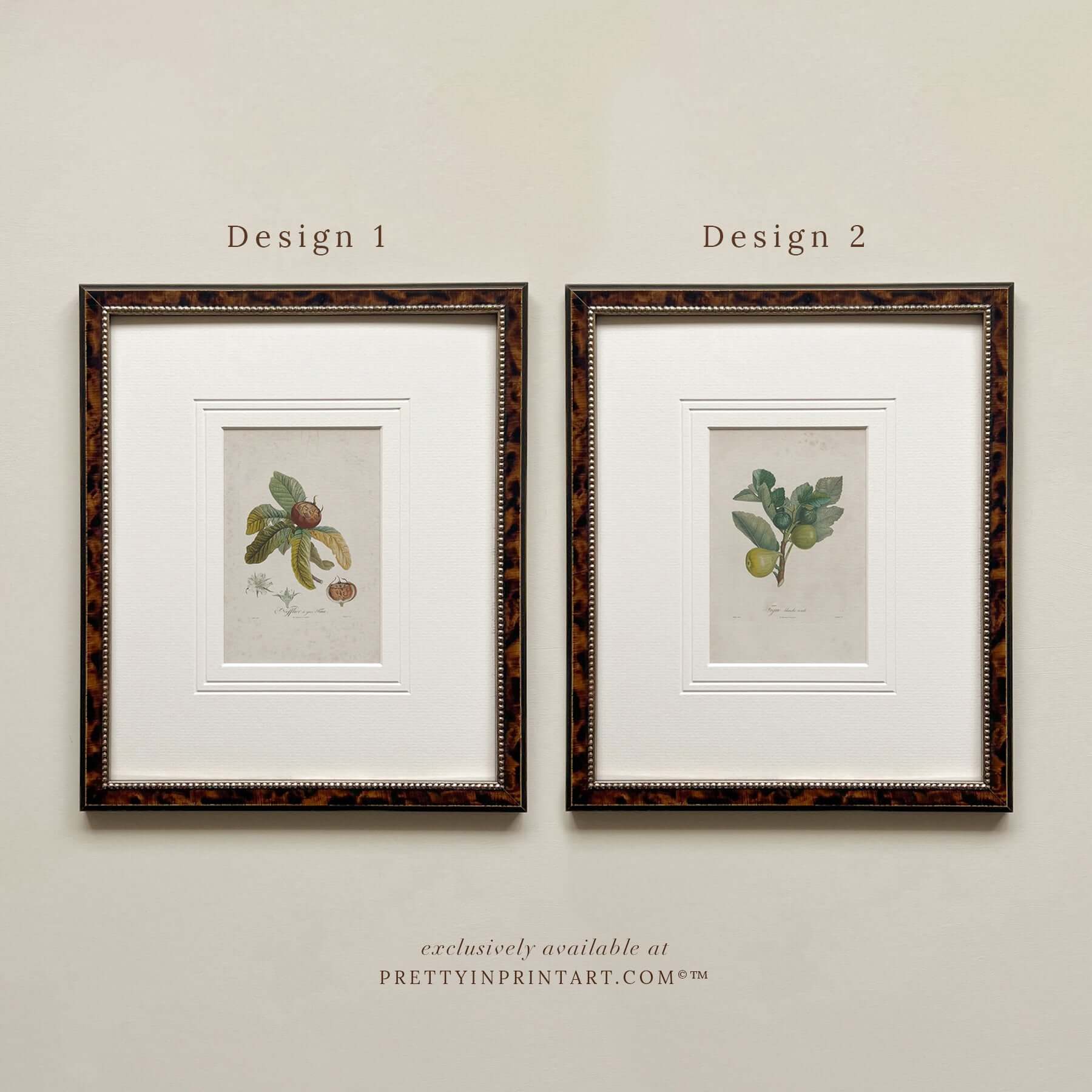 Framed still life vintage art prints featuring fruit and plants in tortoise patterned frames.