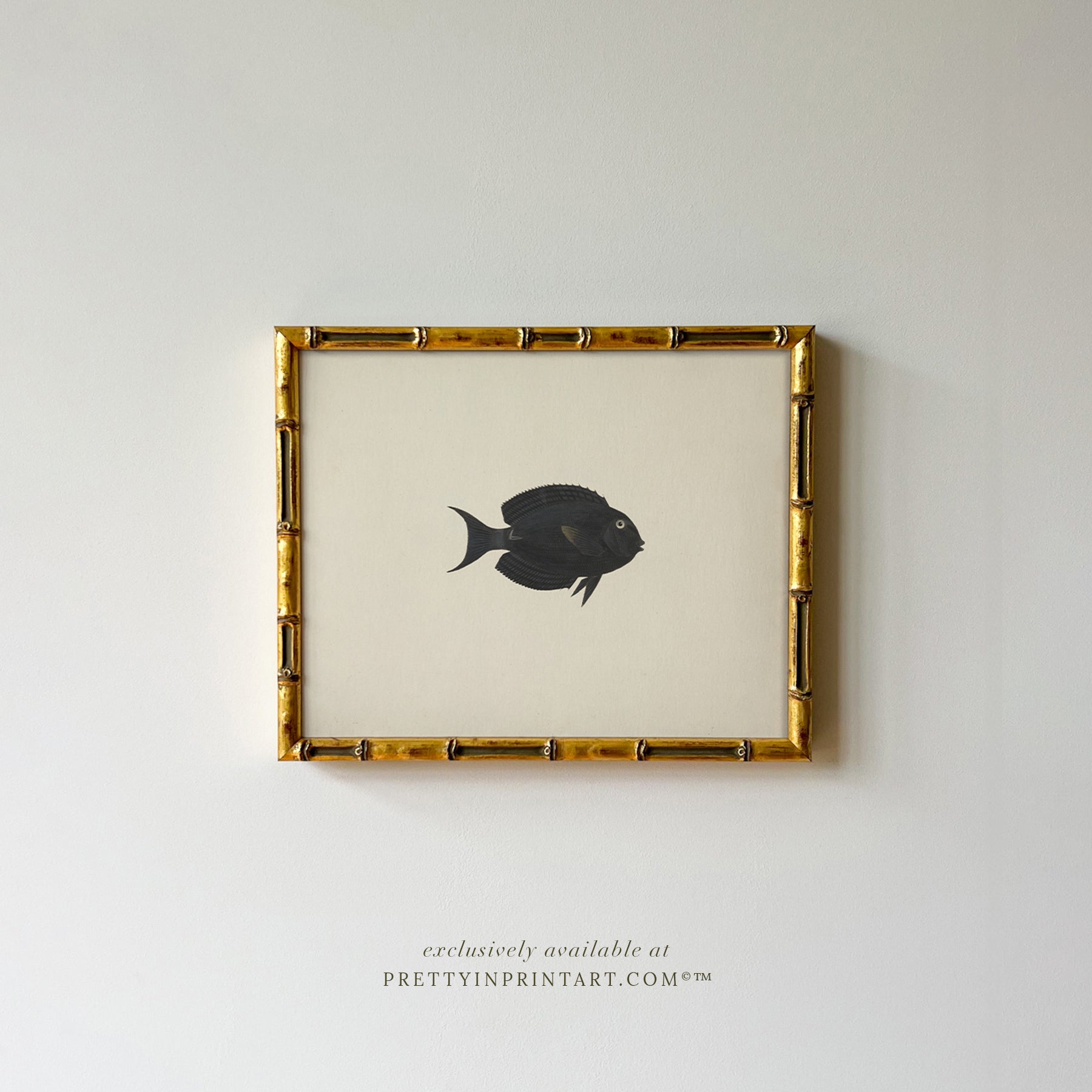Vintage Fish Art Print 007013 in Gold Bamboo Frame (0178)