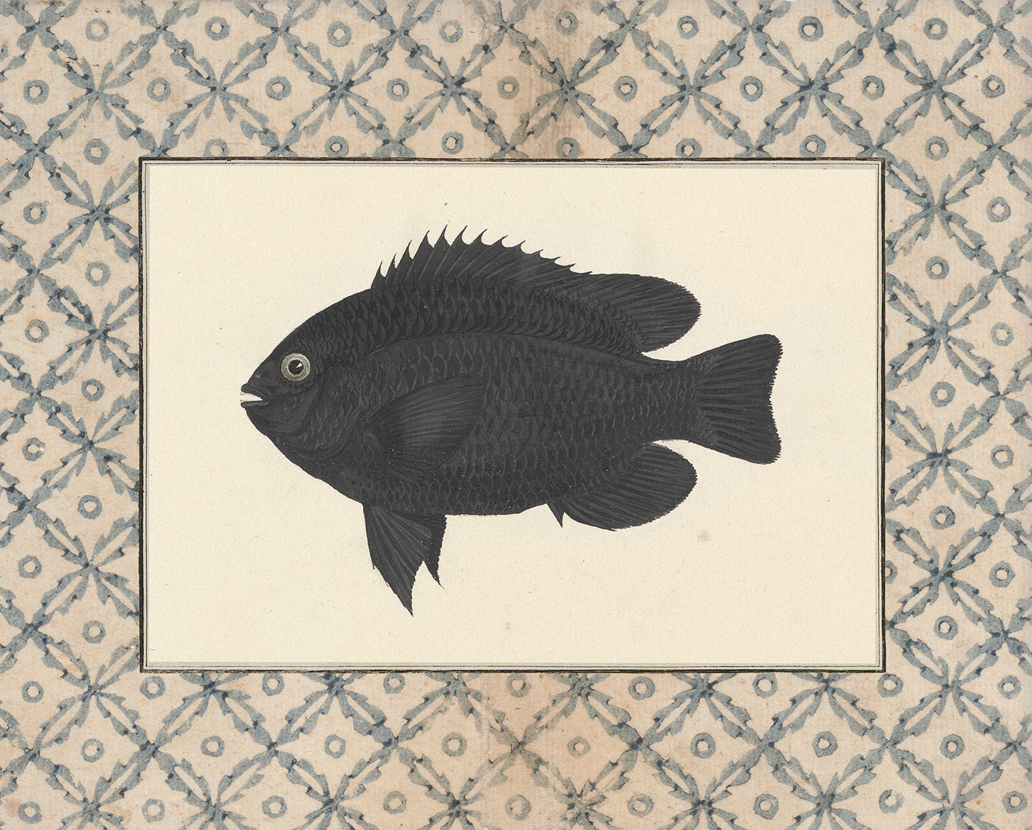 Black Fish Art Print – Antique Coastal Illustration for Vintage Interiors | Unframed