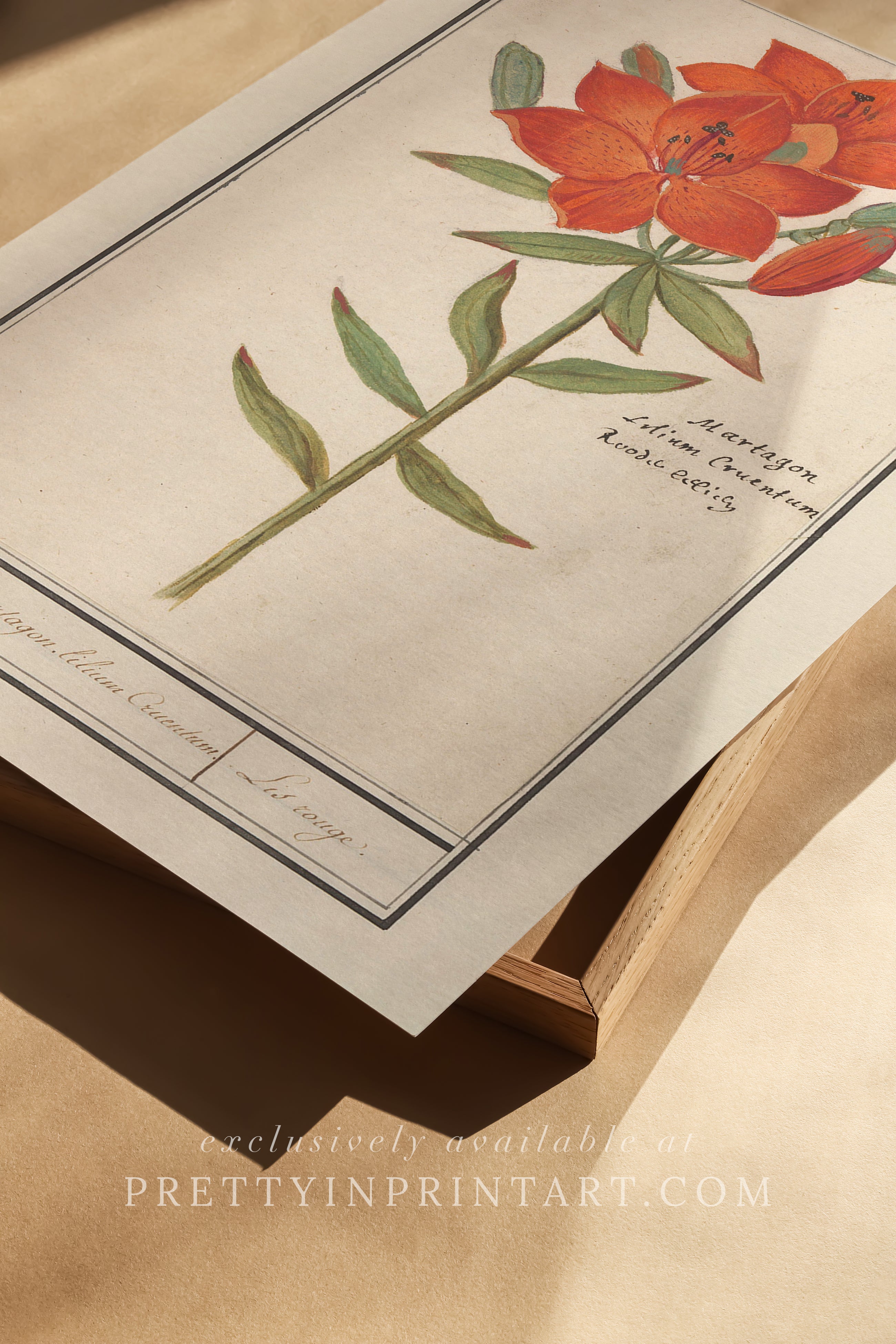 Vintage Flower Art | 005 |  Unframed