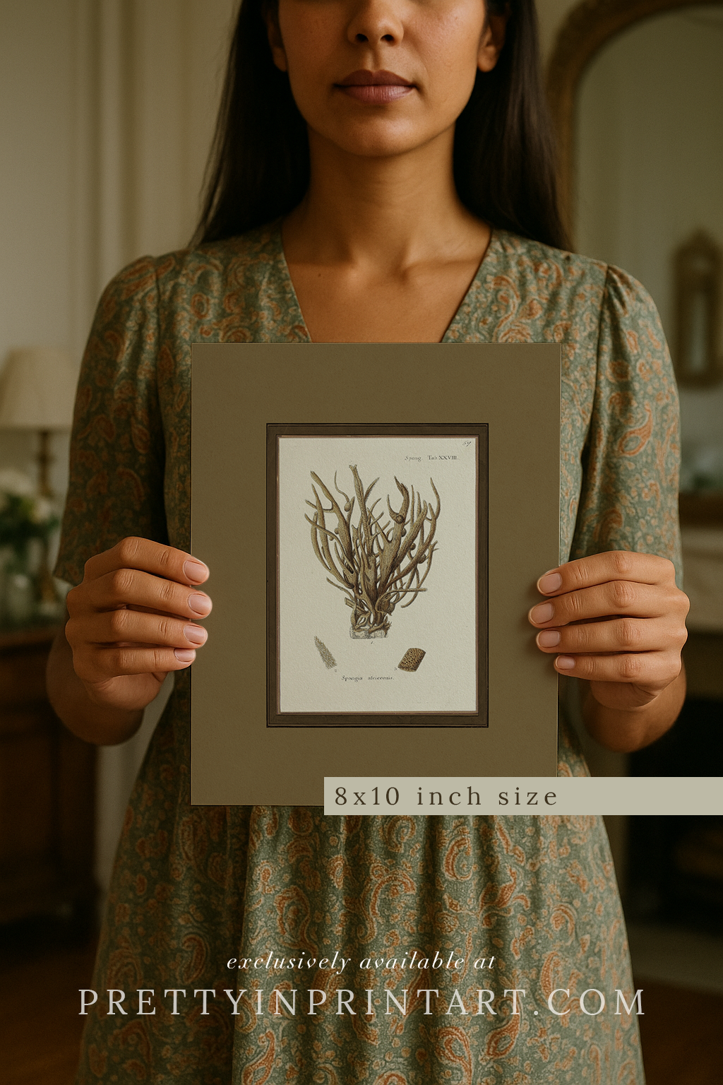 Vintage sea sponge still life botanical art print unframed