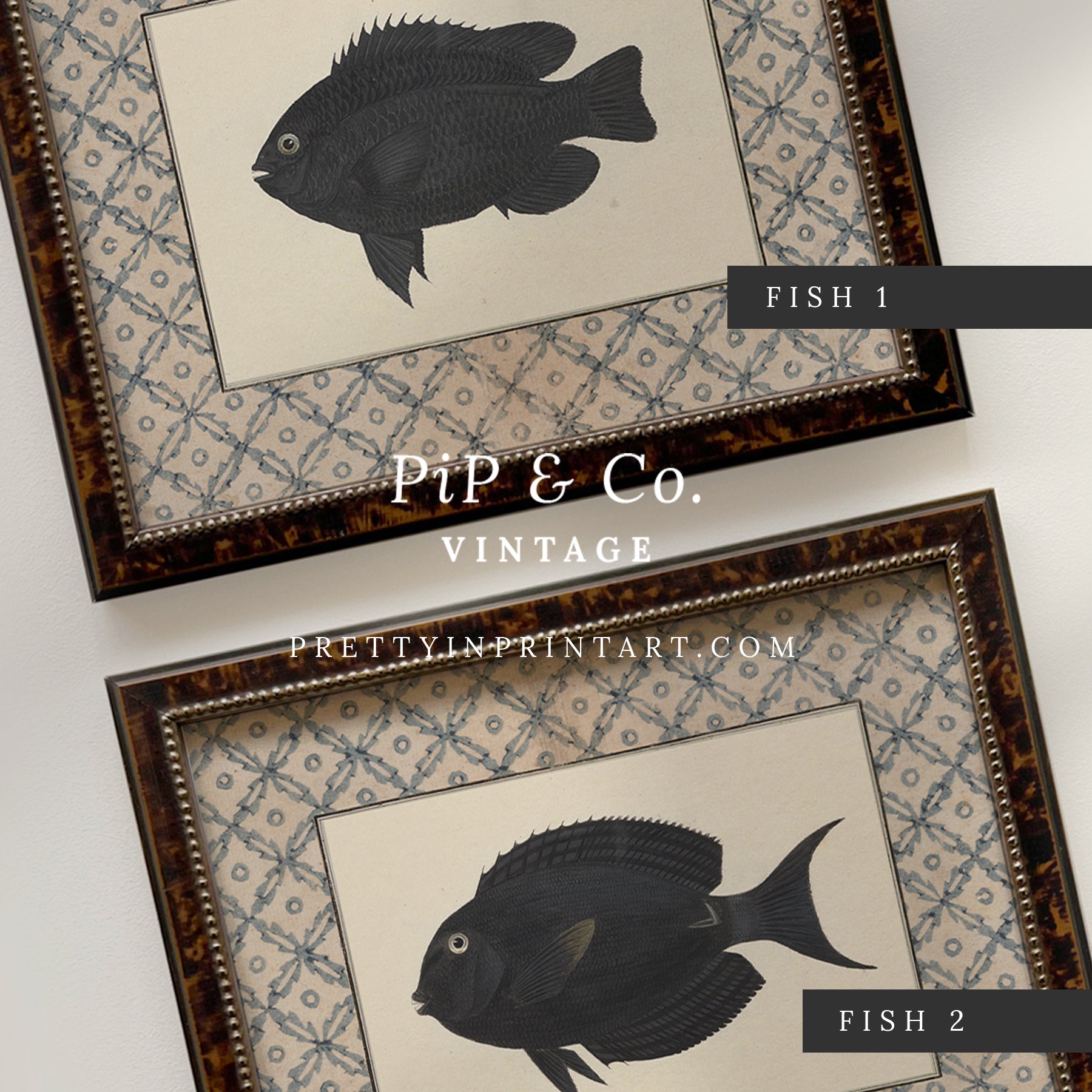 Vintage fish art, Antique fish prints, Vintage fish wall art, Fish illustration print, Vintage fish wall art prints for home decor, Antique fish illustrations for coastal decor, Rustic vintage fish prints for lake house, Framed fish art for nautical theme
