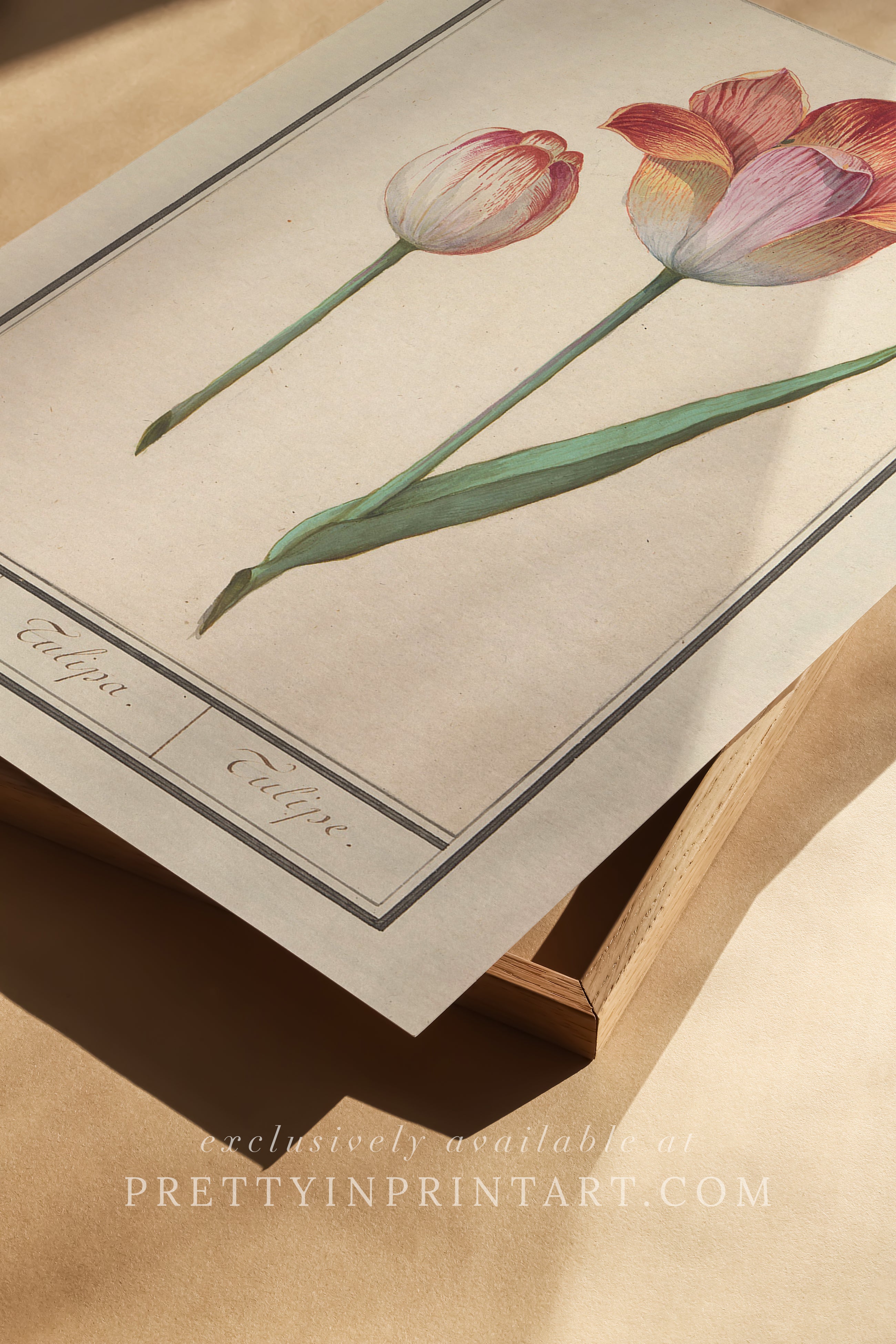 Vintage Flower Art | 004 |  Unframed