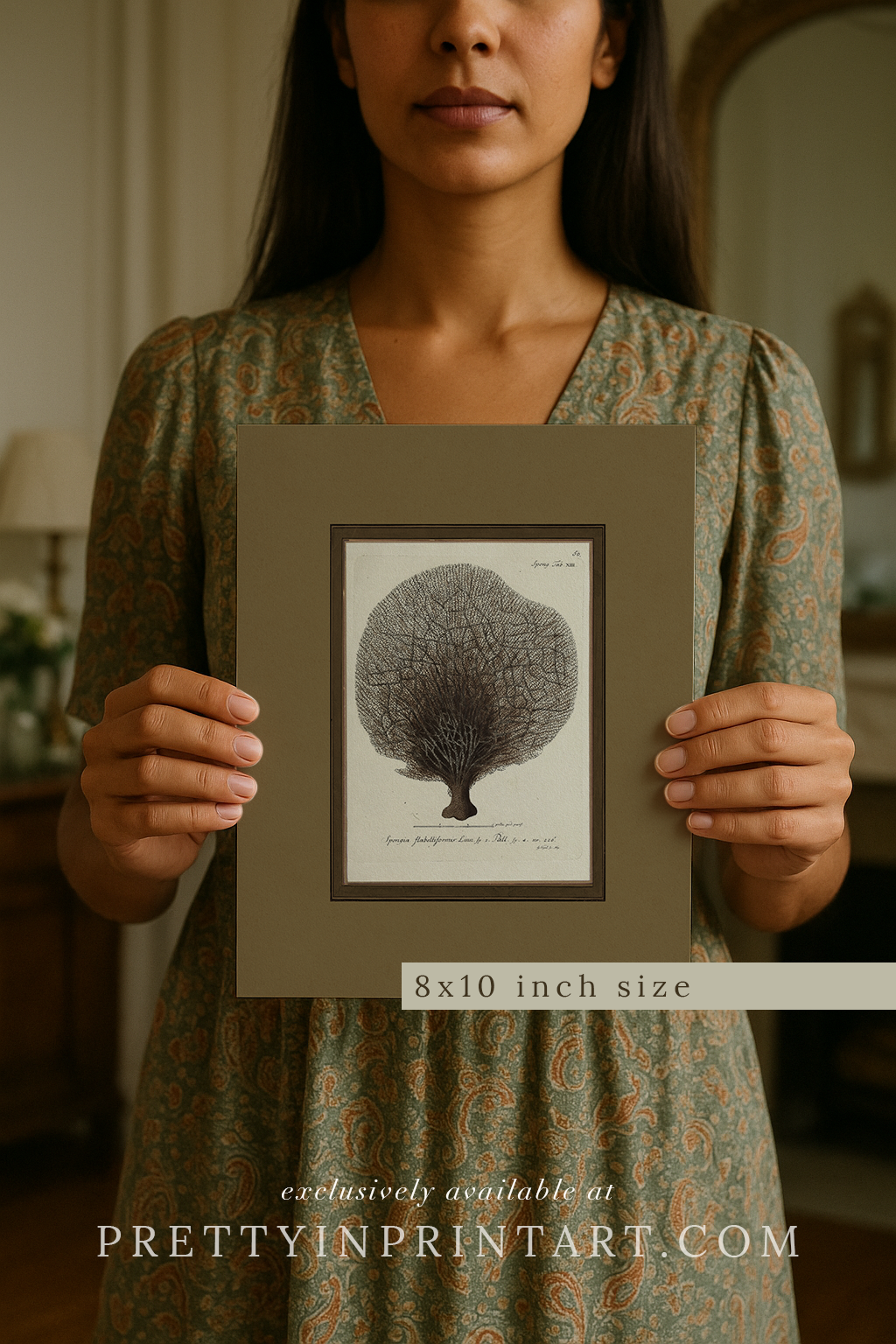 Vintage sea sponge still life botanical art print unframed