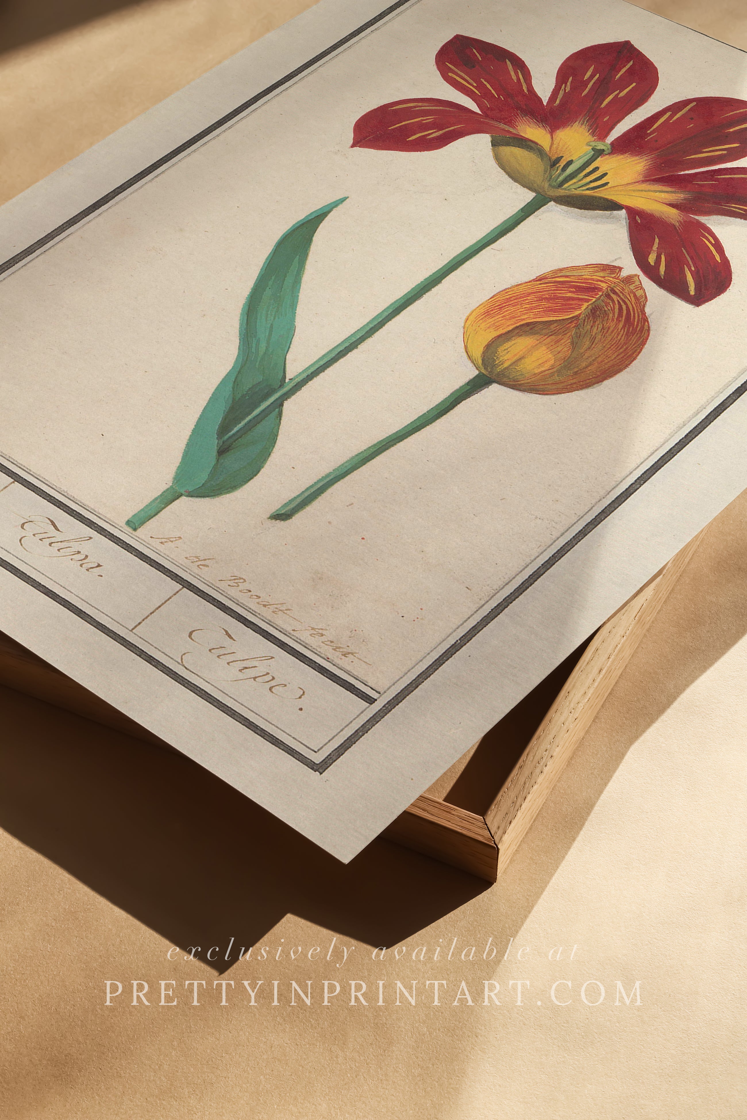 Vintage Flower Art | 003 |  Unframed