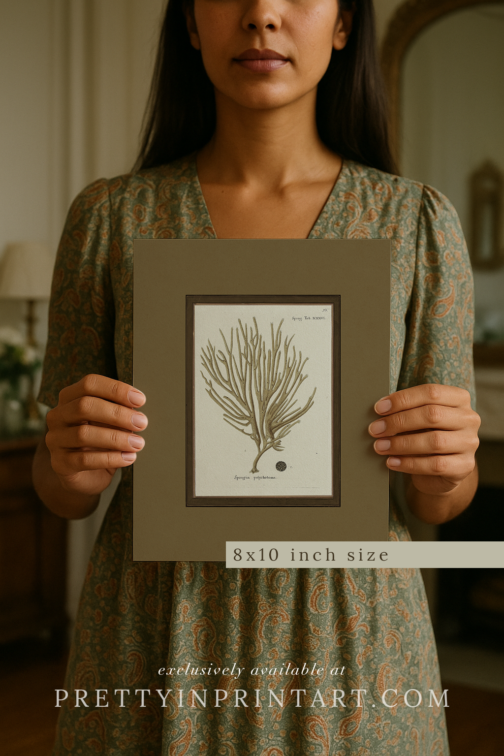 Vintage sea sponge still life botanical art print unframed