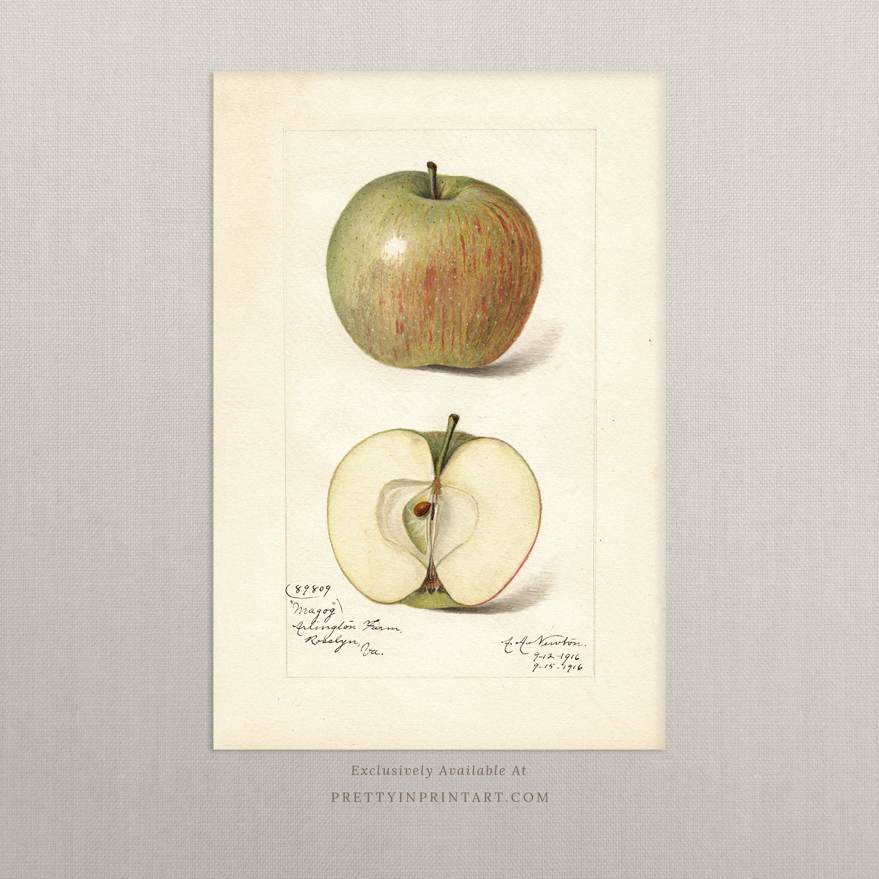 Black bobbin frame with vintage fruit botanical still life art for cottagecore, farmhouse, and traditional interiors