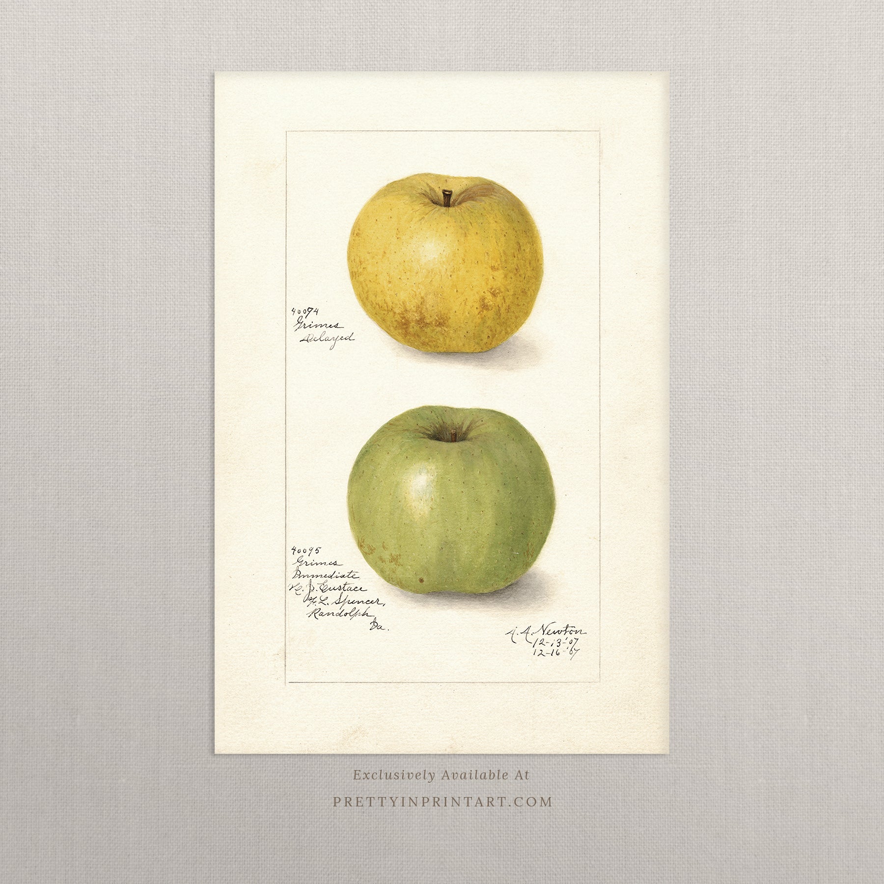 Black bobbin frame with vintage fruit botanical still life art for cottagecore, farmhouse, and traditional interiors