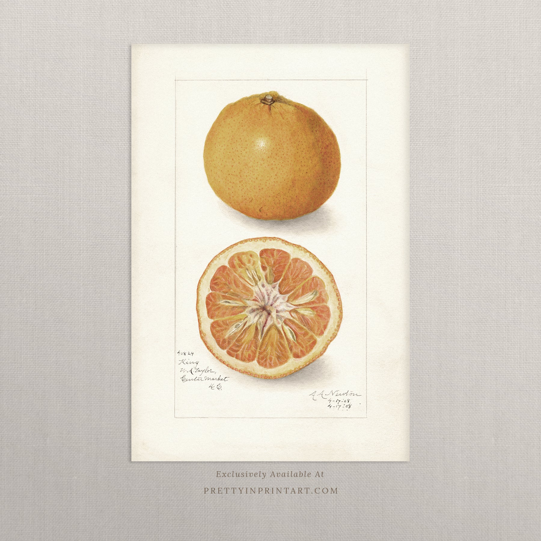 Black bobbin frame with vintage fruit botanical still life art for cottagecore, farmhouse, and traditional interiors