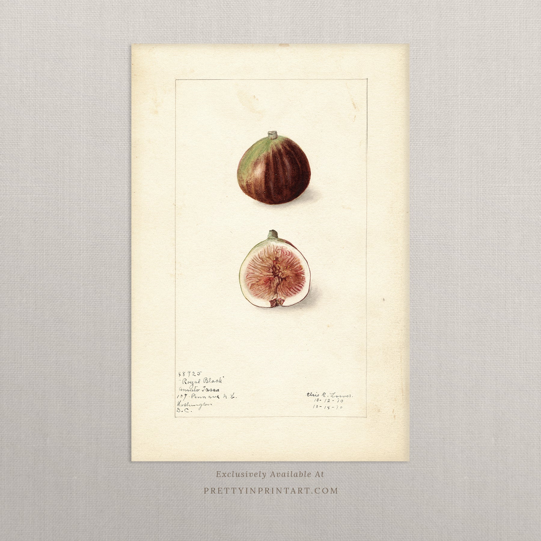 Black bobbin frame with vintage fruit botanical still life art for cottagecore, farmhouse, and traditional interiors