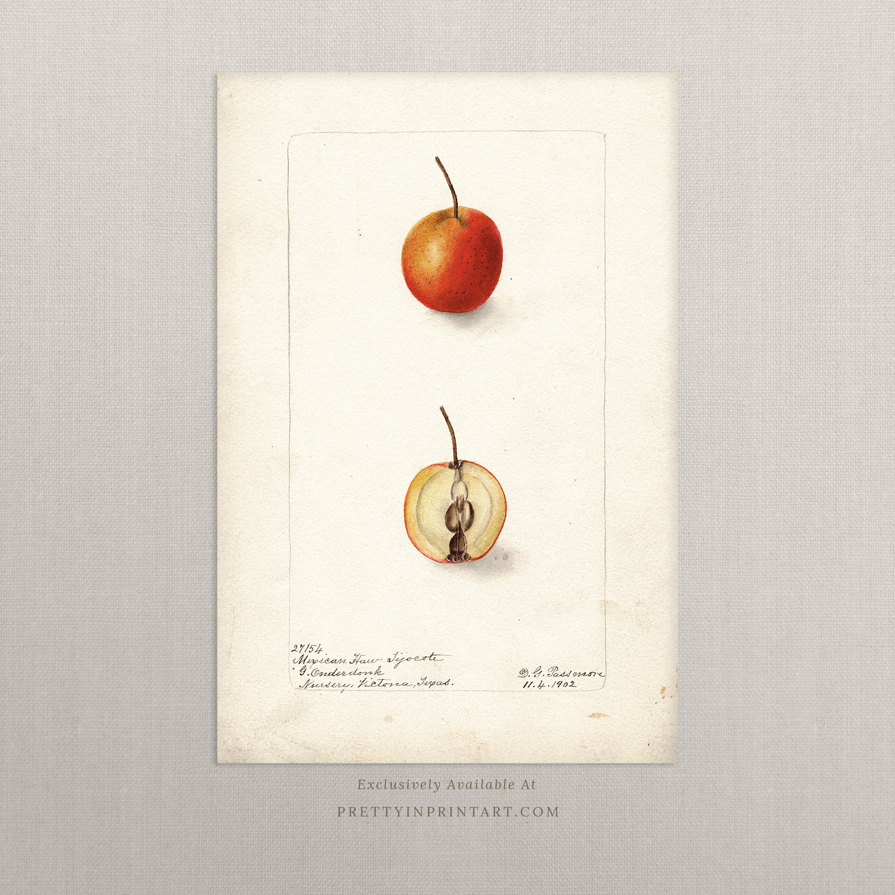 Black bobbin frame with vintage fruit botanical still life art for cottagecore, farmhouse, and traditional interiors
