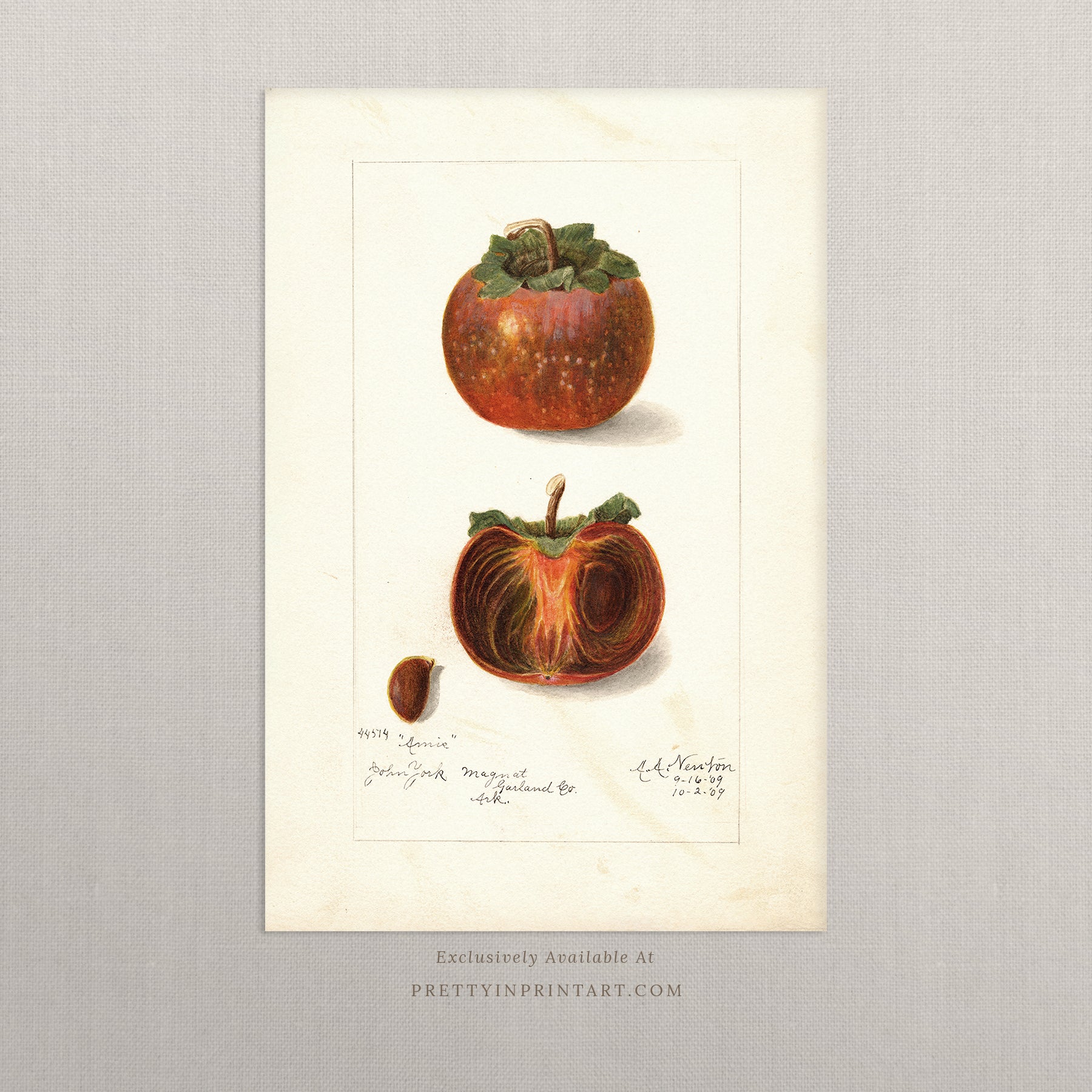 Black bobbin frame with vintage fruit botanical still life art for cottagecore, farmhouse, and traditional interiors