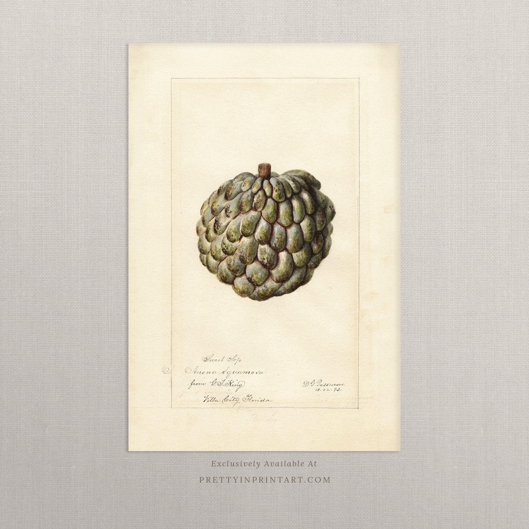 Black bobbin frame with vintage fruit botanical still life art for cottagecore, farmhouse, and traditional interiors