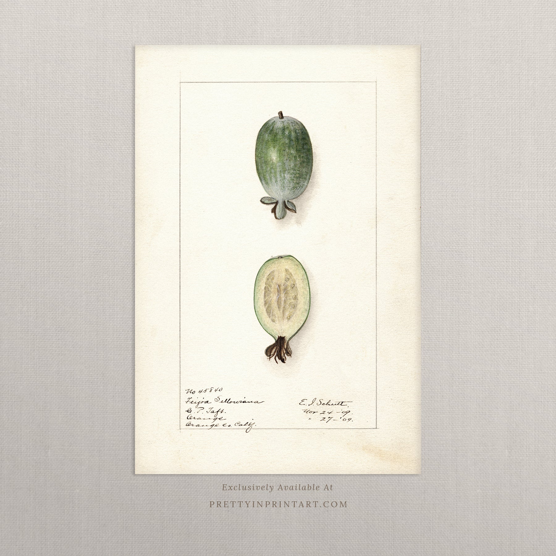 Black bobbin frame with vintage fruit botanical still life art for cottagecore, farmhouse, and traditional interiors