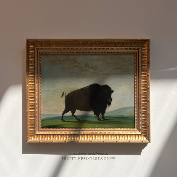 Framed Buffalo Art (9677 + GLD-RIB-68224)