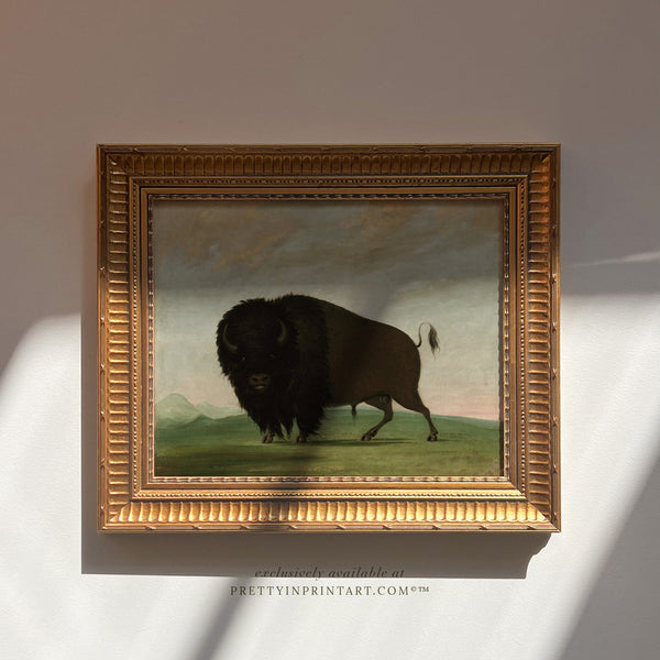 Framed Buffalo Art (9678 + GLD-RIB-68224)