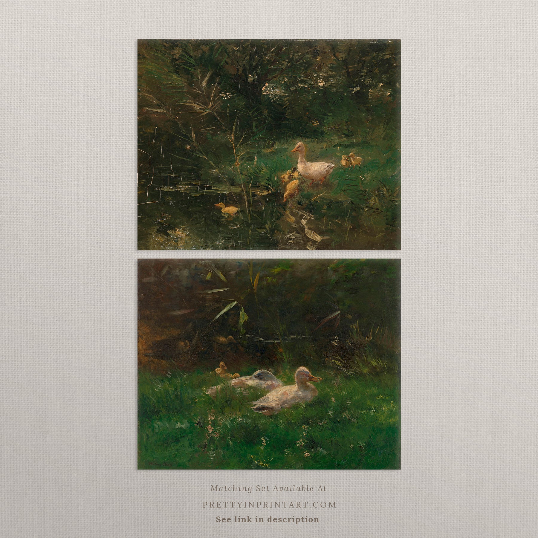 Duck & Ducklings Vintage Art 002 |  Unframed