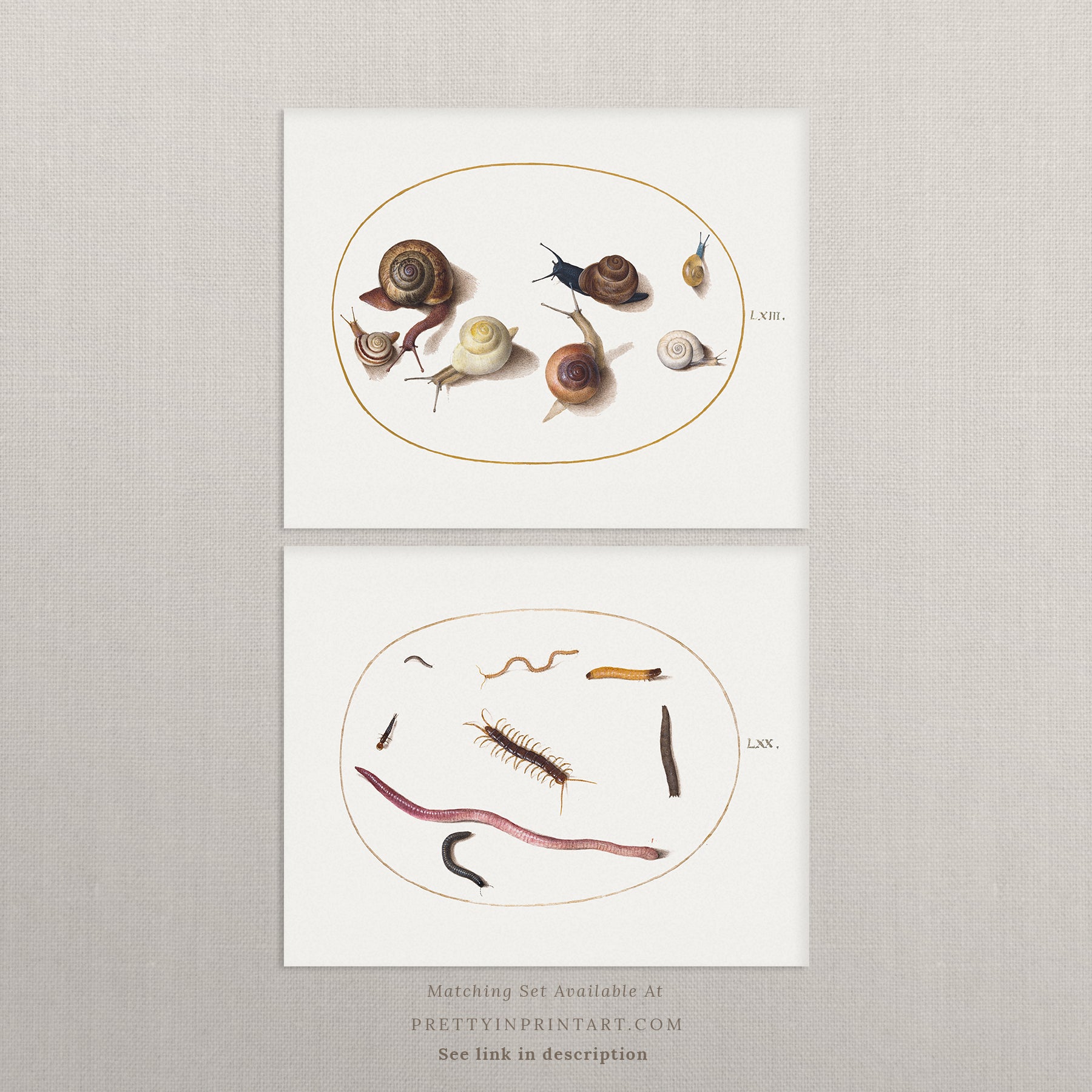 vintage-style nursery art prints featuring bugs, butterflies, beetles, and mini beasts in classic gold and wood frames for children's room decor.