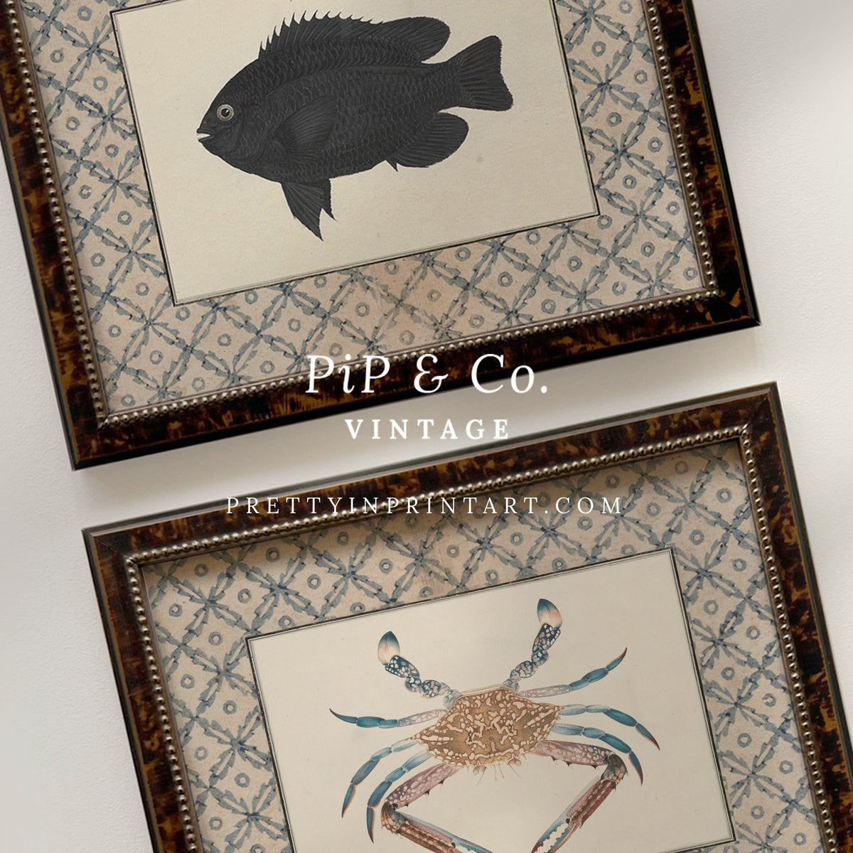 Vintage blue crab art print shown alongside the matching Black Fish print (sold separately) in tortoiseshell-style wooden frames