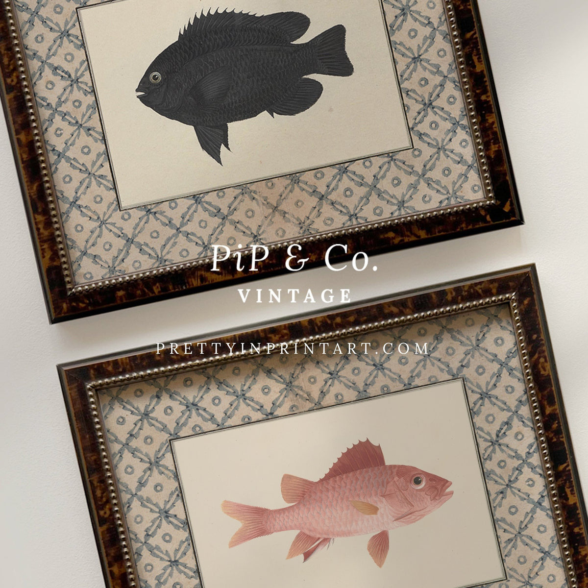 Vintage coral-pink fish art print shown alongside the matching Black Fish print (sold separately) in tortoiseshell-style wooden frames