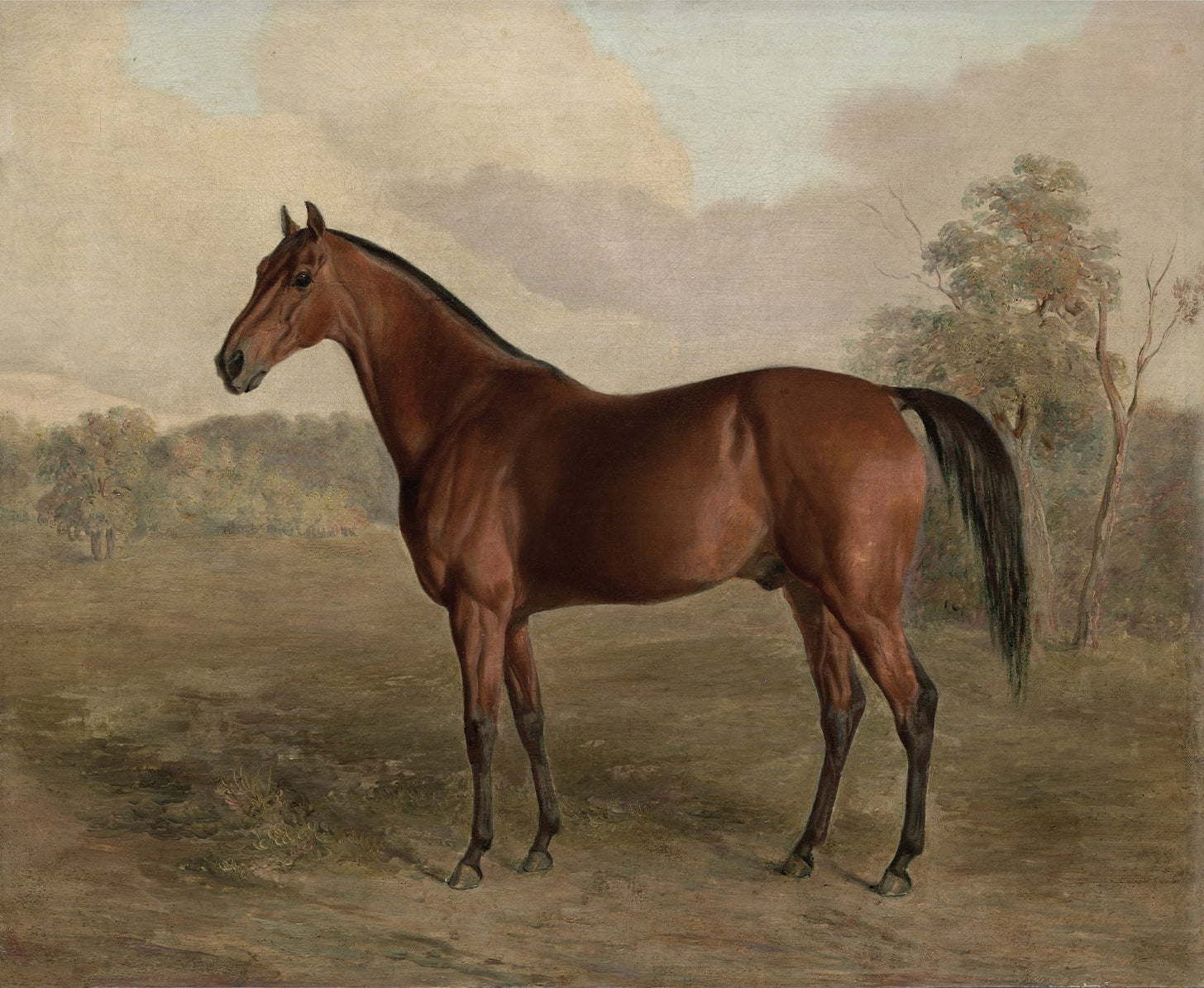 Vintage Horse Art Print; 008565 Landscape |  Unframed