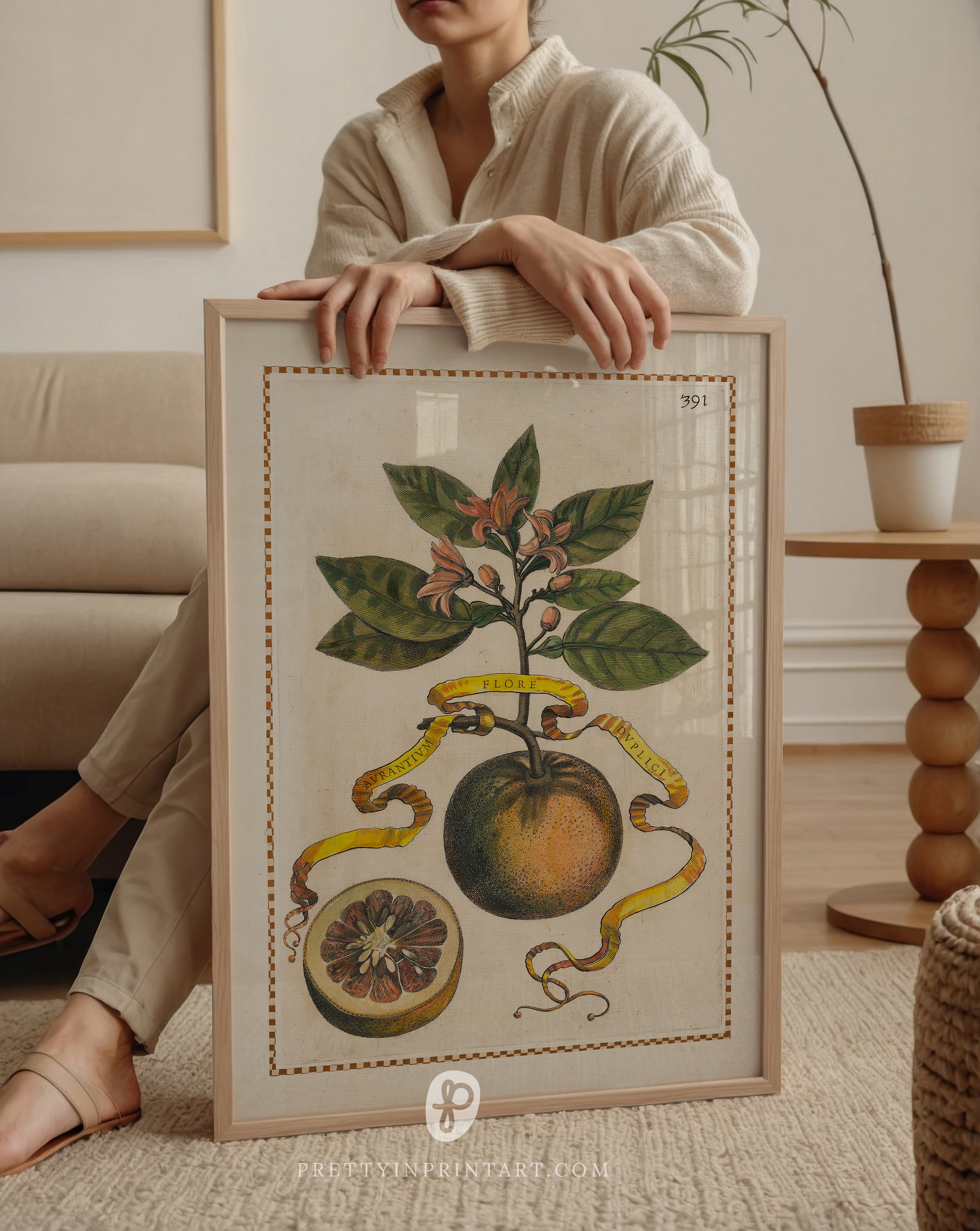Unframed vintage fruit wall print with botanical citrus illustrations – lemons, limes, and oranges.
