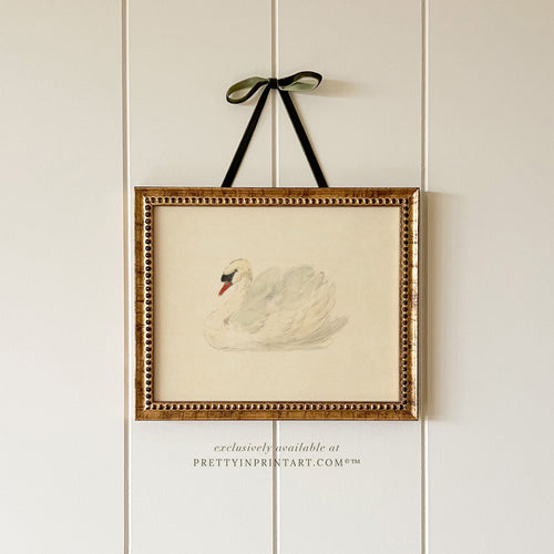 Vintage Swan Framed Art