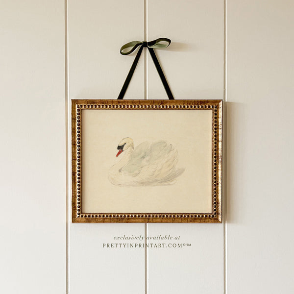 Vintage Swan Framed Art (GOLD-0160)