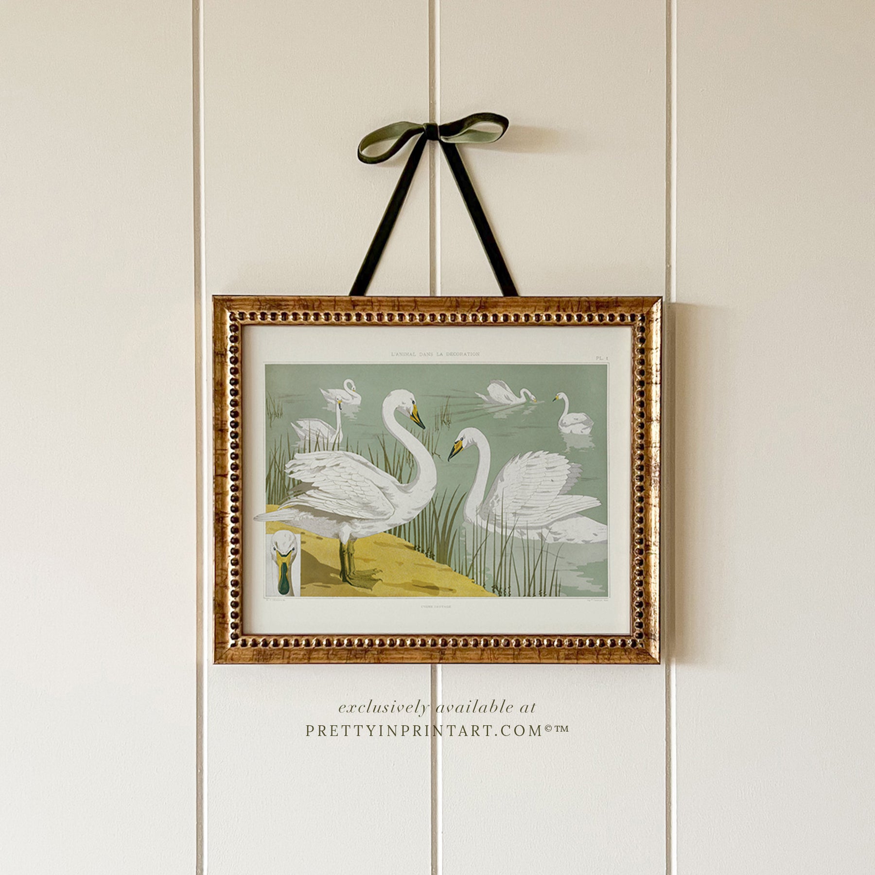 Swans Vintage Illustration Framed Art (GOLD-0160)