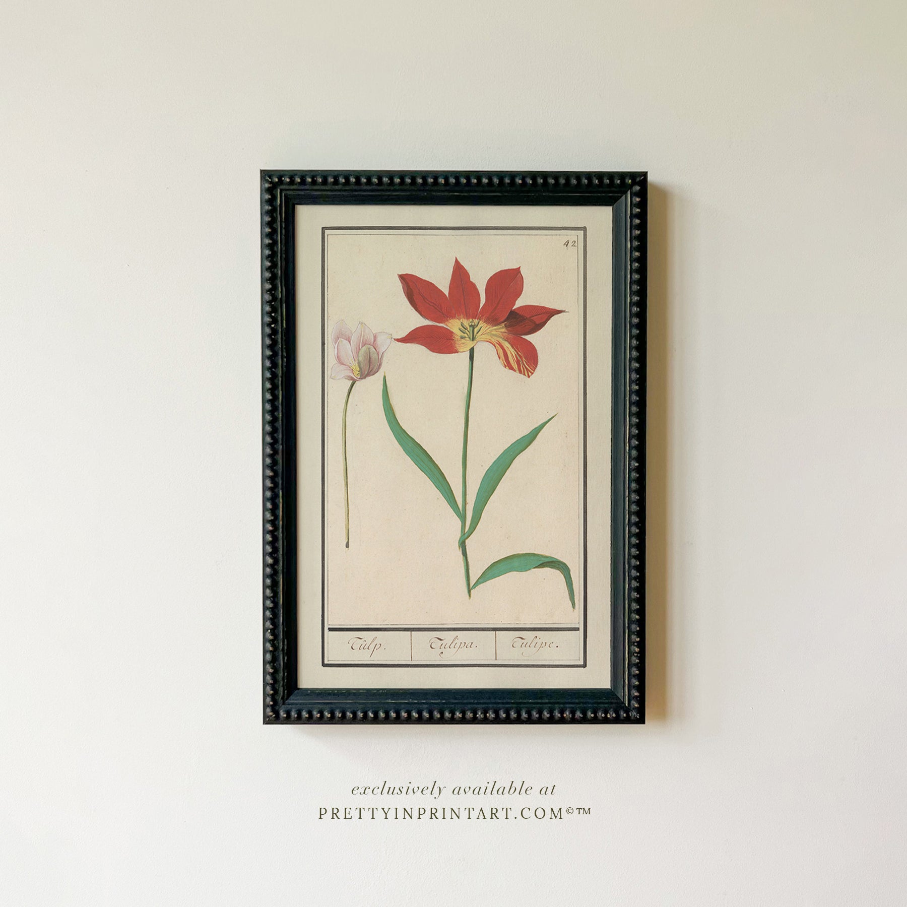 Framed Vintage Flower Art | 001