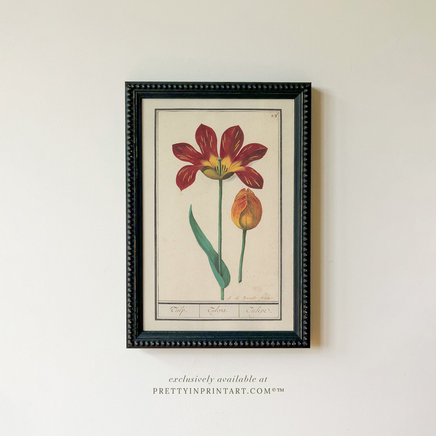 Framed Vintage Flower Art | 003