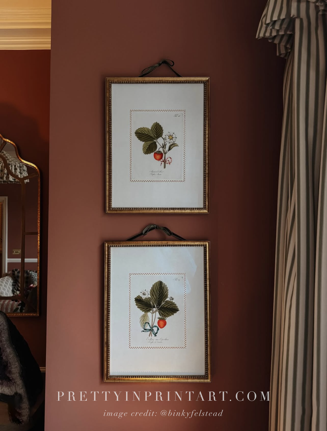 Vintage Art Print; Strawberry Plant 001 | Framed (GOLD-0160)
