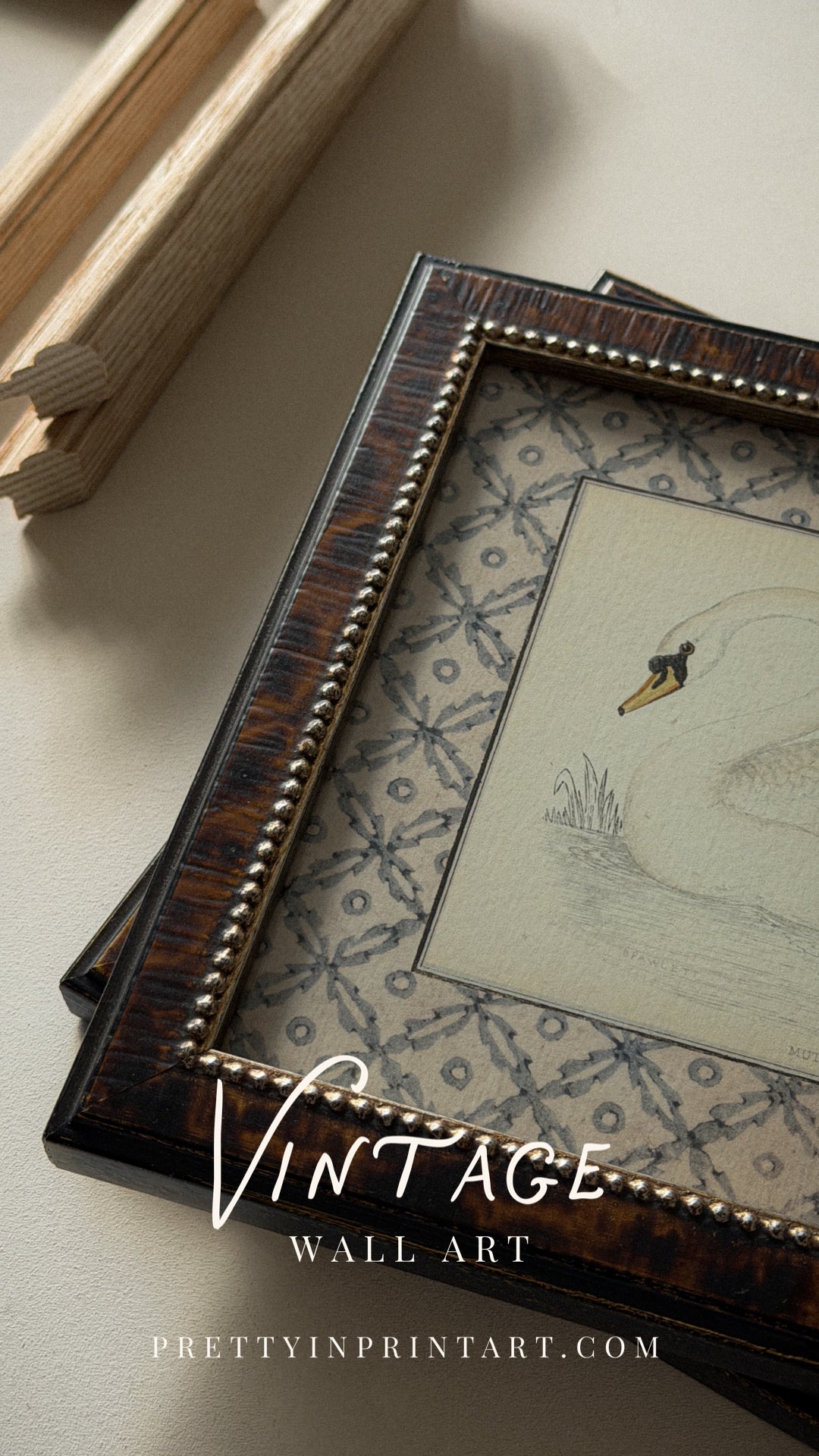 Vintage Swan Nursery Art Print 001 | Framed (2124)