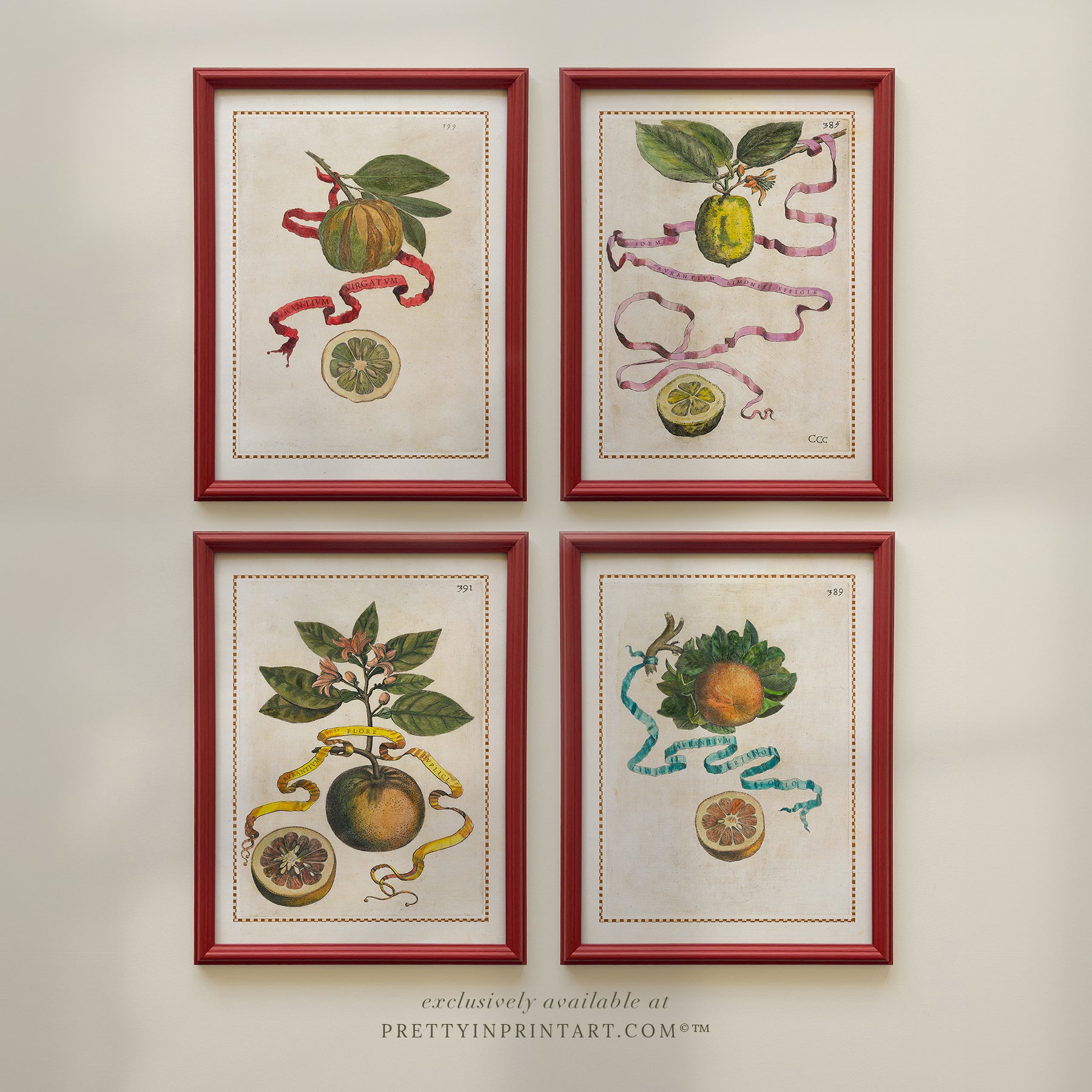 Set of 4 vintage citrus fruit prints framed in red Farrow & Ball hand-painted frames – lemons, limes, oranges, and grapefruits wall art.