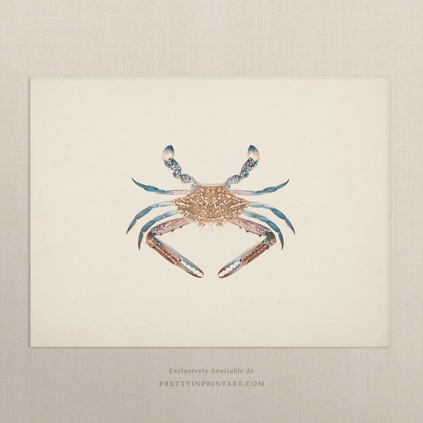 Vintage Fish Art Print 00705 |  Unframed