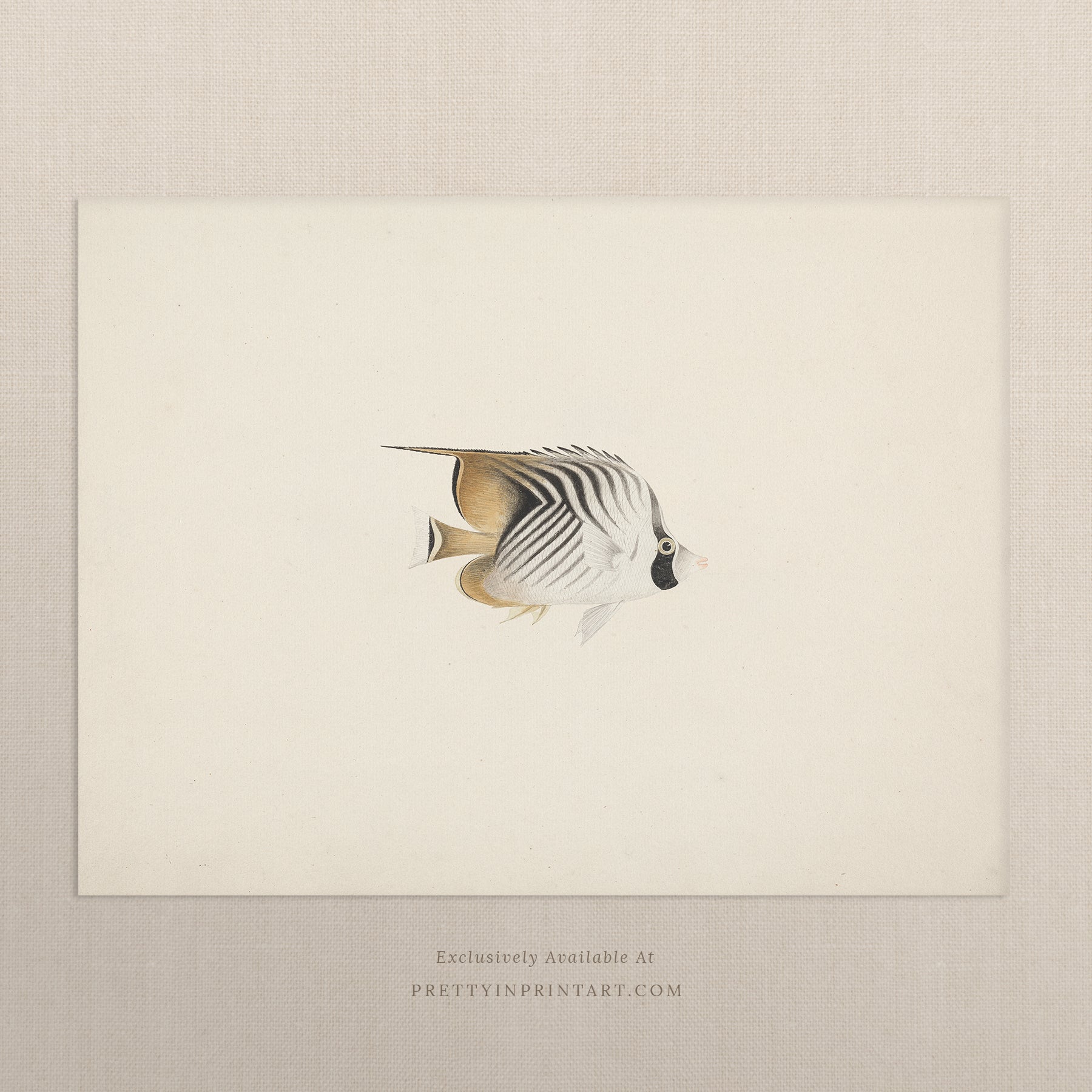 Vintage Fish Art Print 00708 |  Unframed