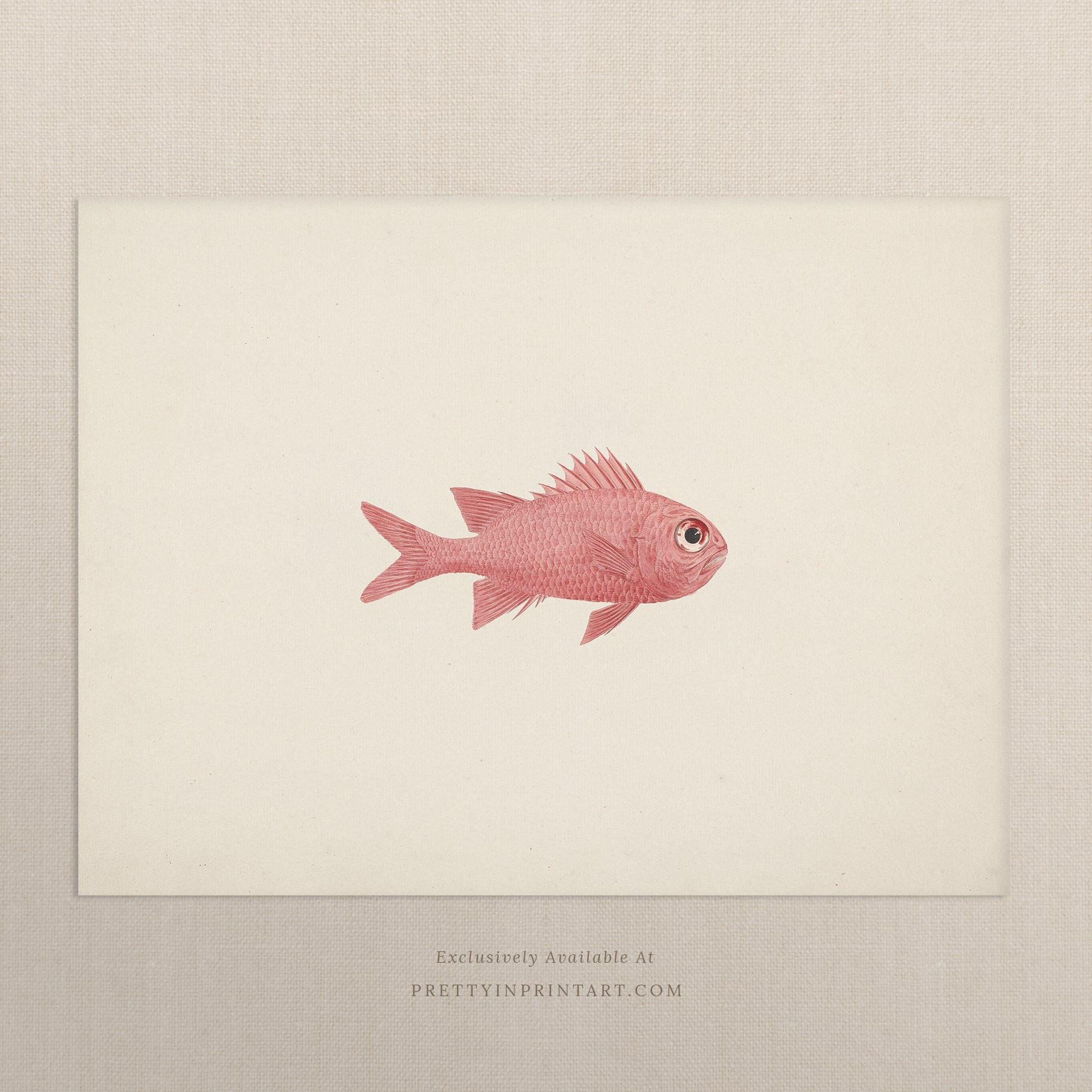Vintage Fish Art Print 00709 |  Unframed