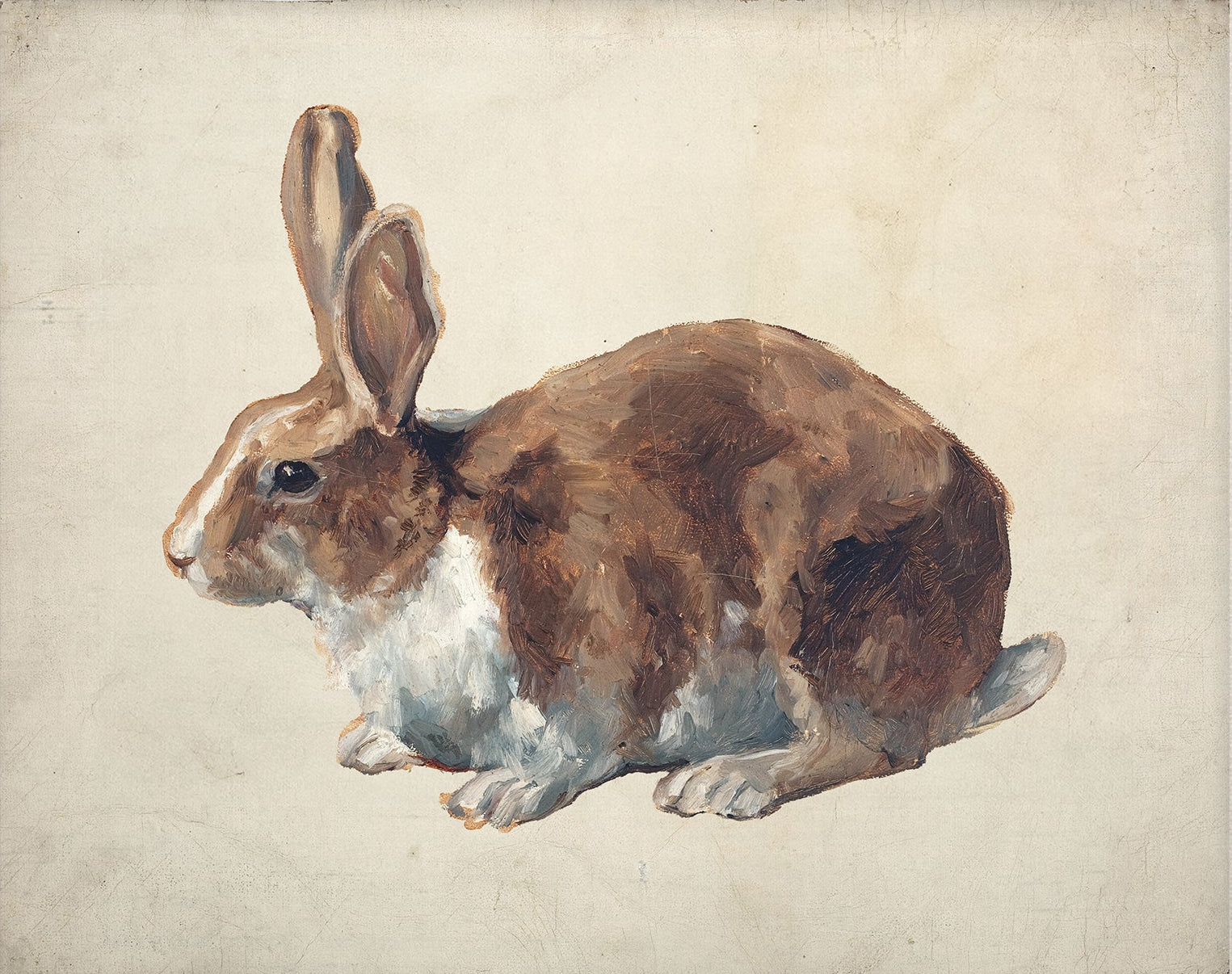 Vintage Nursery Art; Bunny Rabbit  Print 0024 |  Unframed