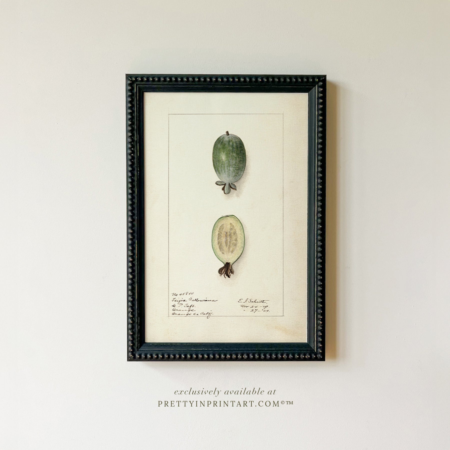 Framed Vintage Fruit Art | Fruit 018