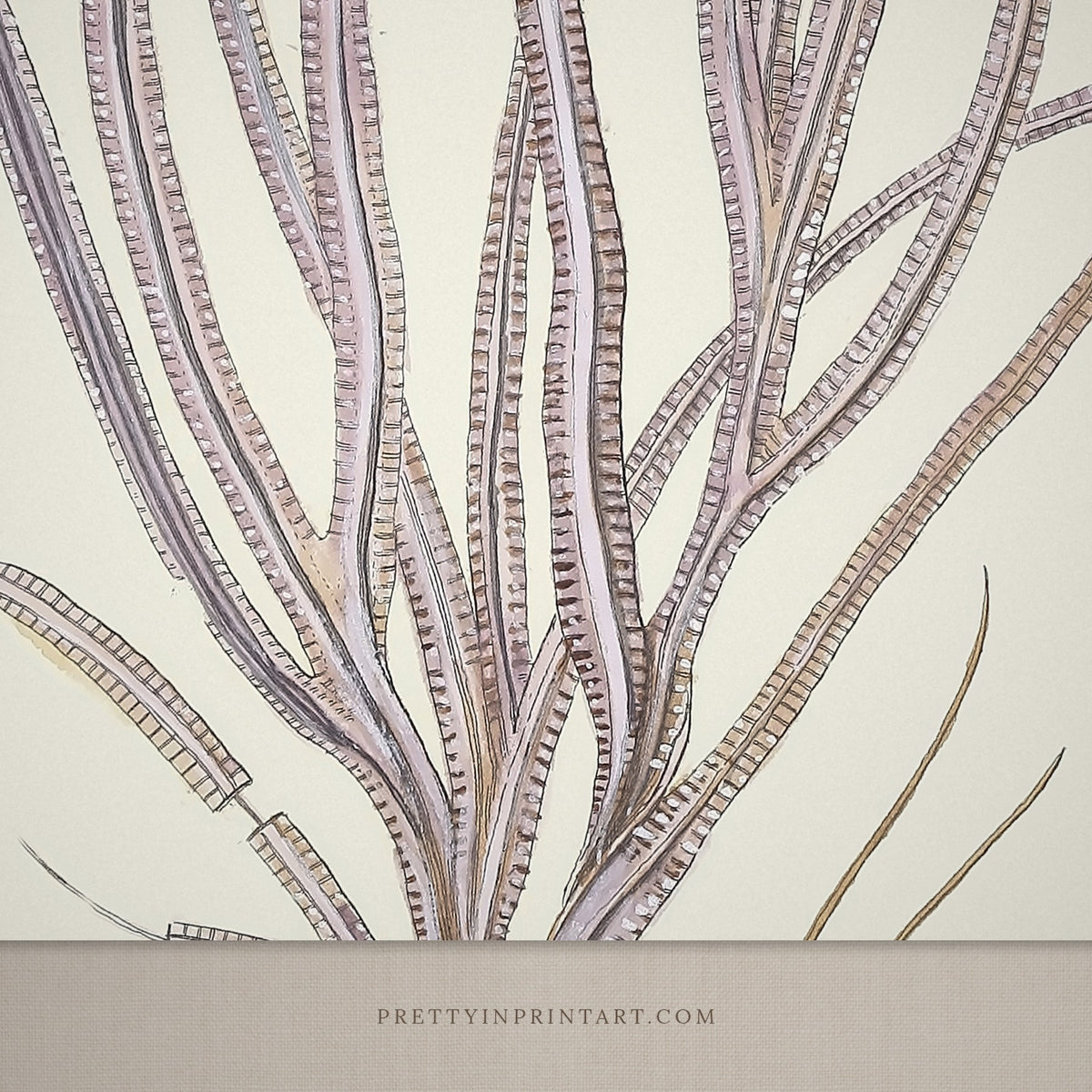 Close-up detail of vintage lilac sea whip art print